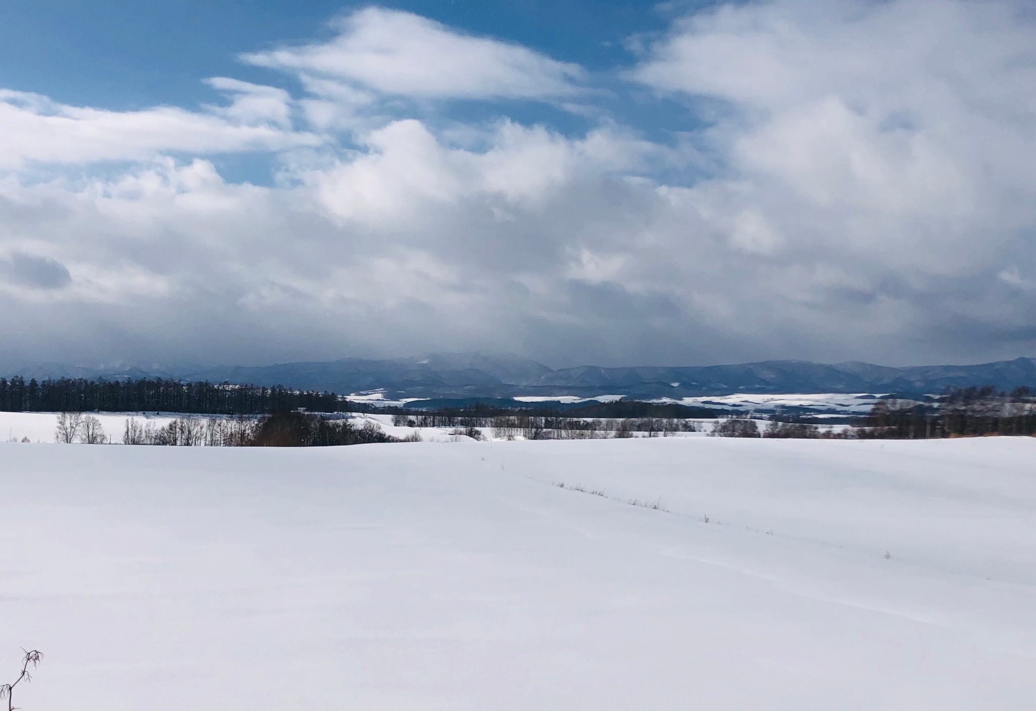 北海道自助遊攻略