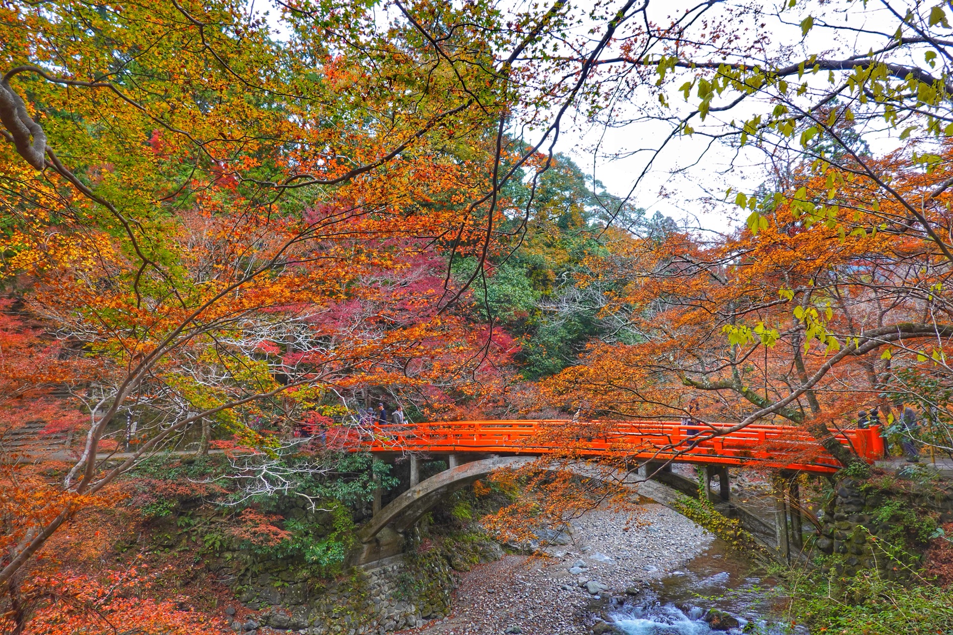 京都自助遊攻略