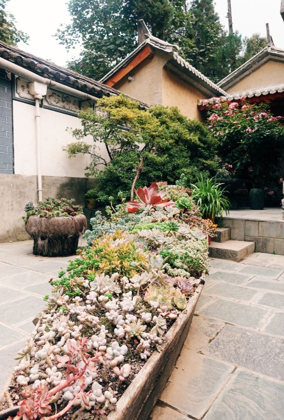 如果每个人都有他的第二故乡那么我的心归属于大理