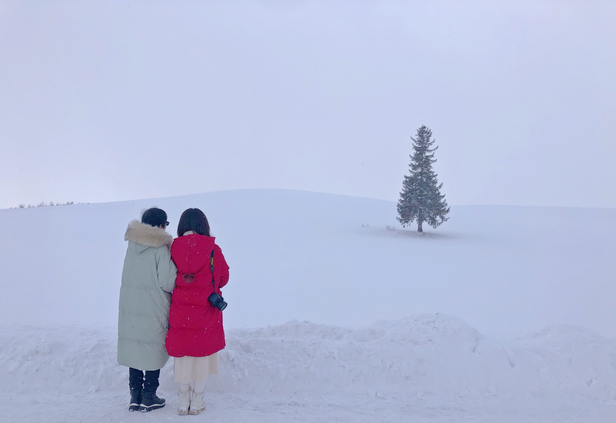 北海道自助遊攻略