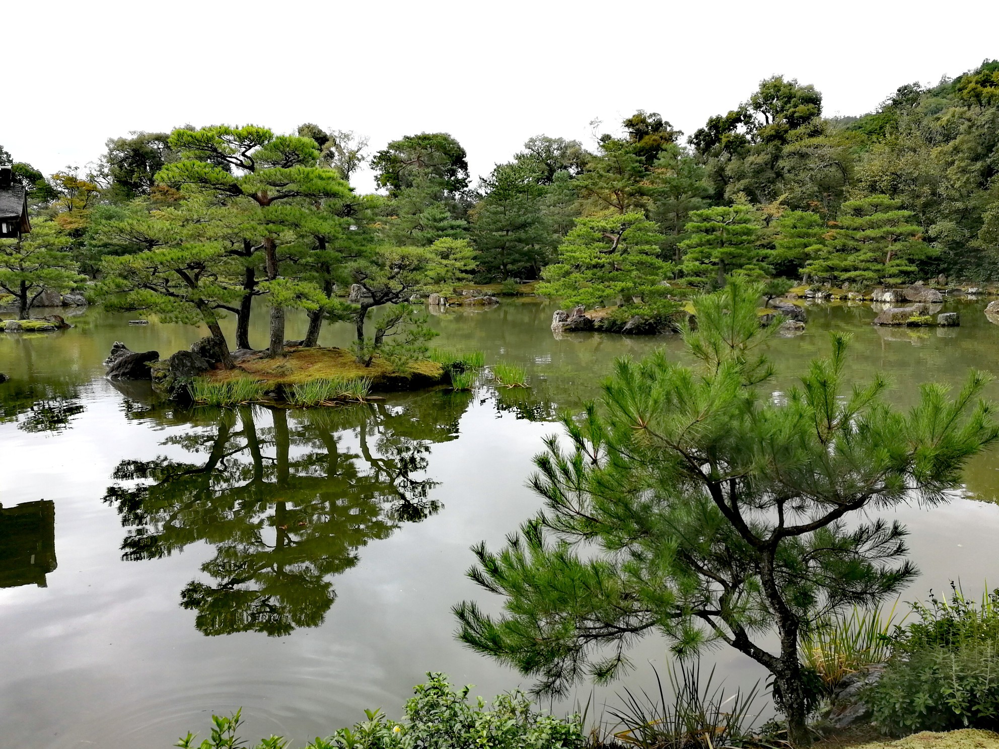 京都自助遊攻略