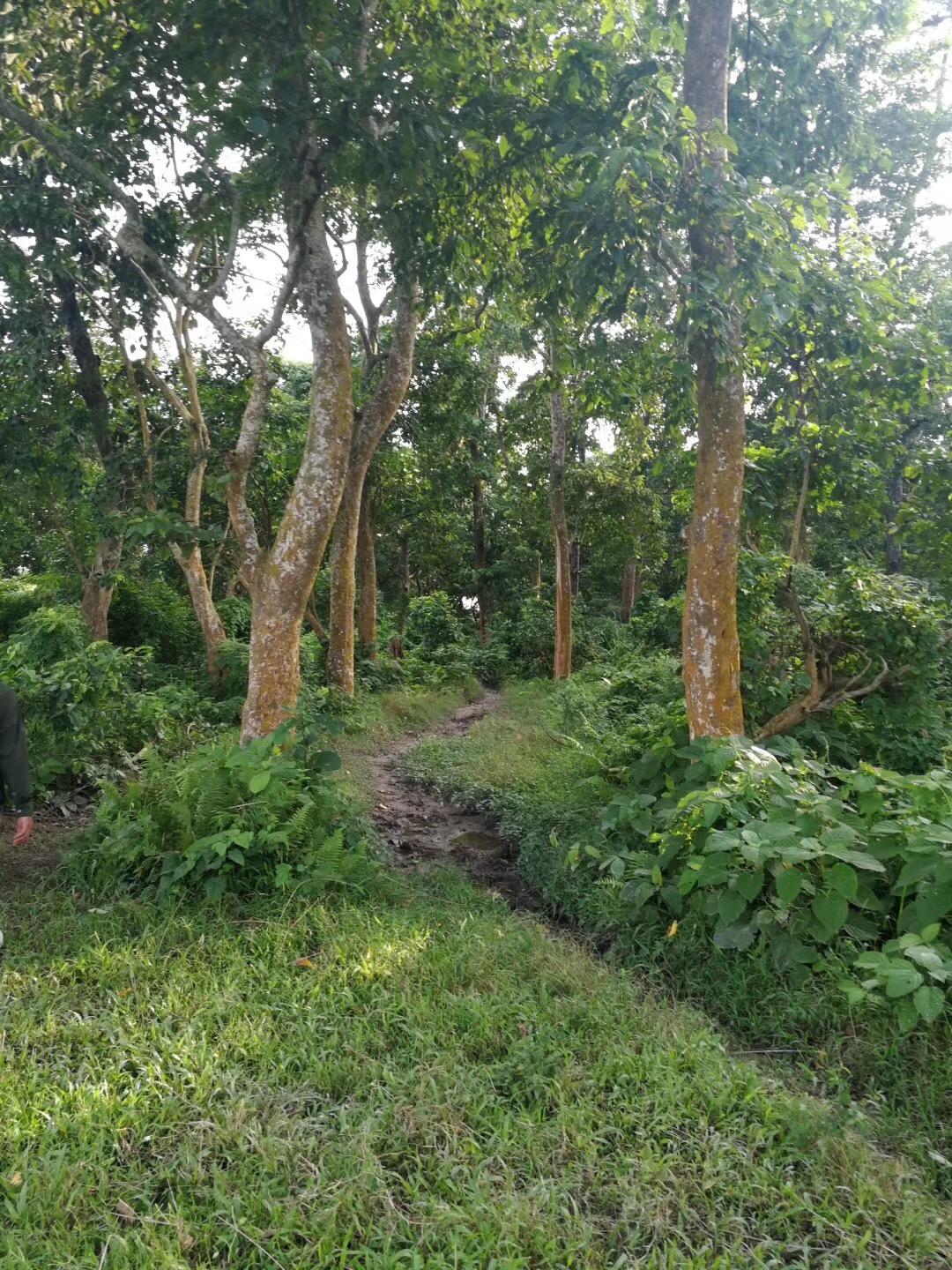 尼泊爾自助遊攻略