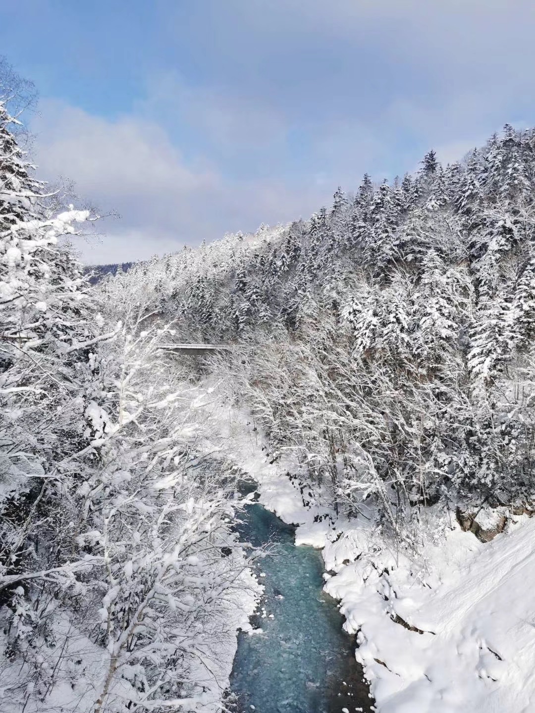 北海道自助遊攻略