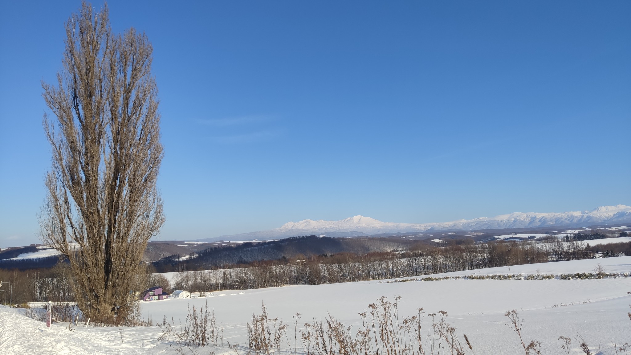 北海道自助遊攻略