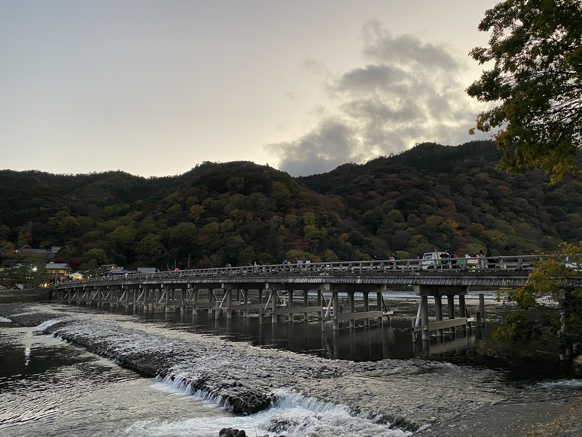 京都自助遊攻略