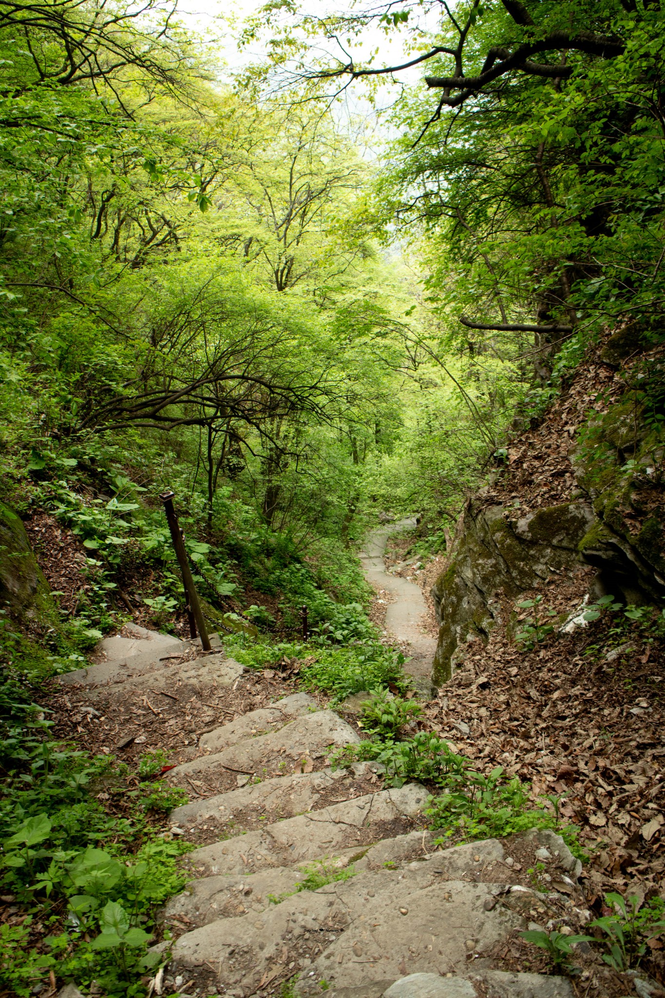 201678春游伏龙山,十堰自助游攻略 - 马蜂窝