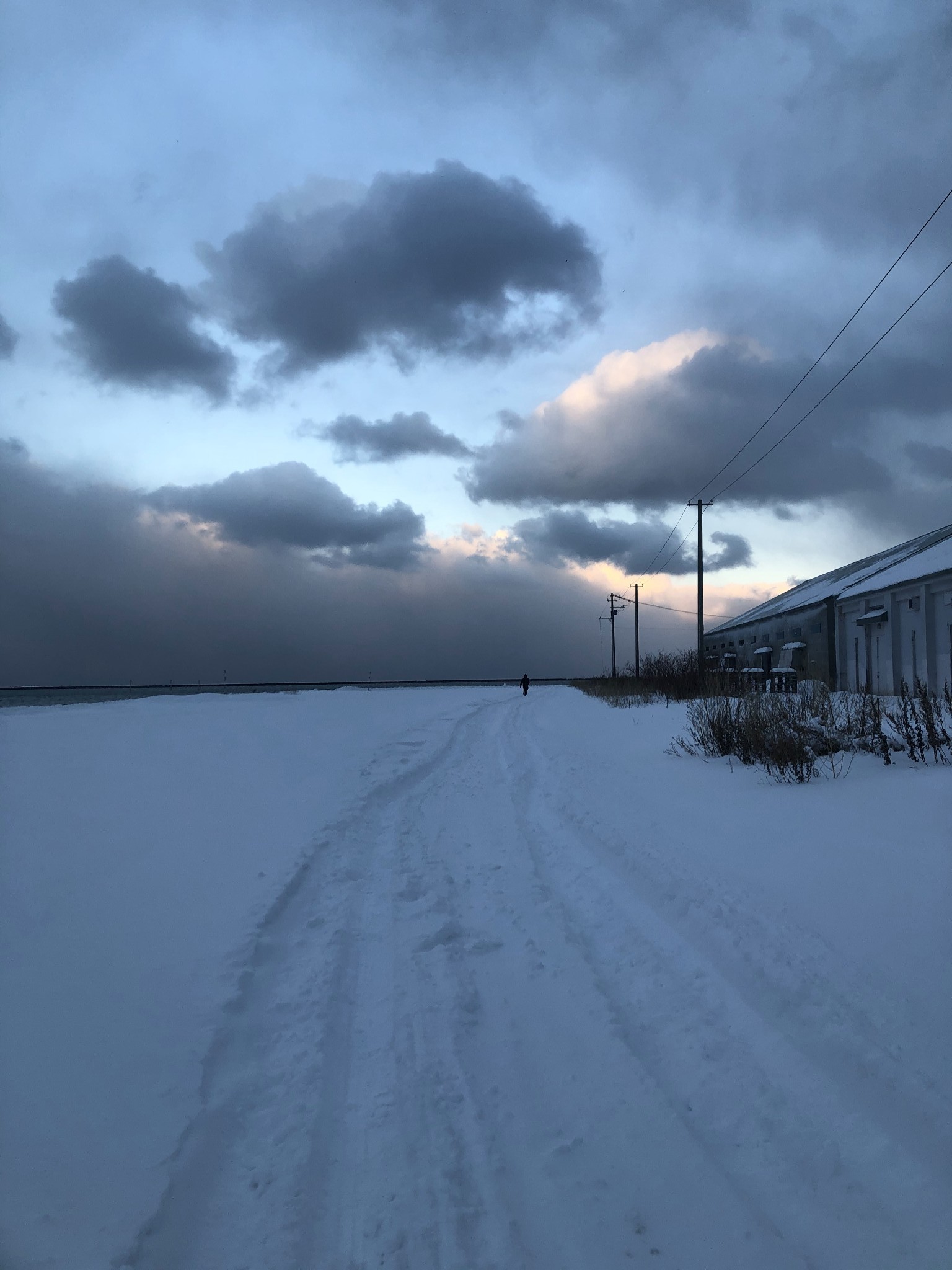 北海道自助遊攻略