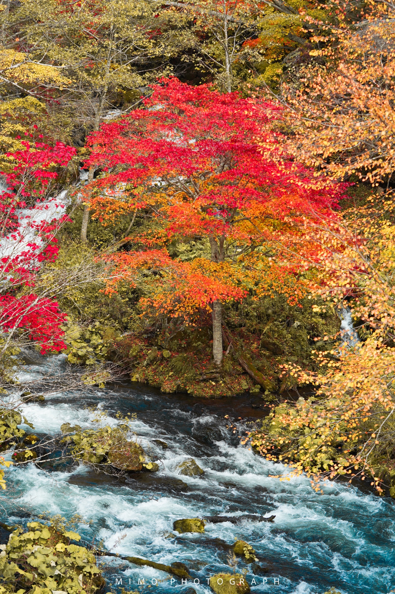 北海道自助遊攻略