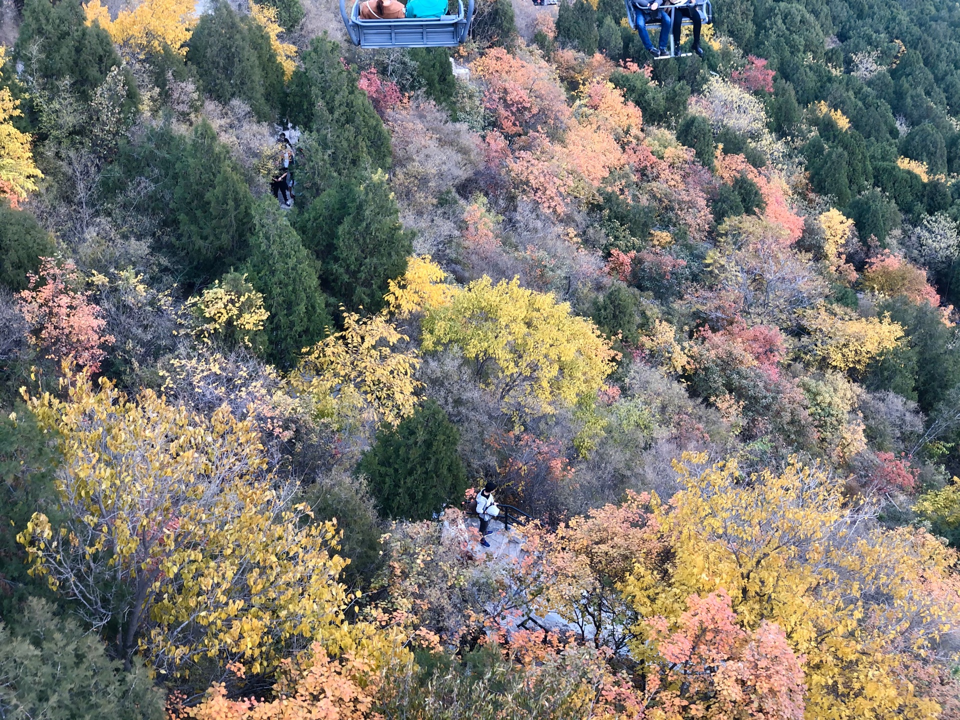 【各景點預約時間攻略】北京香山觀賞楓葉爬山路線,包括香山革命紀念