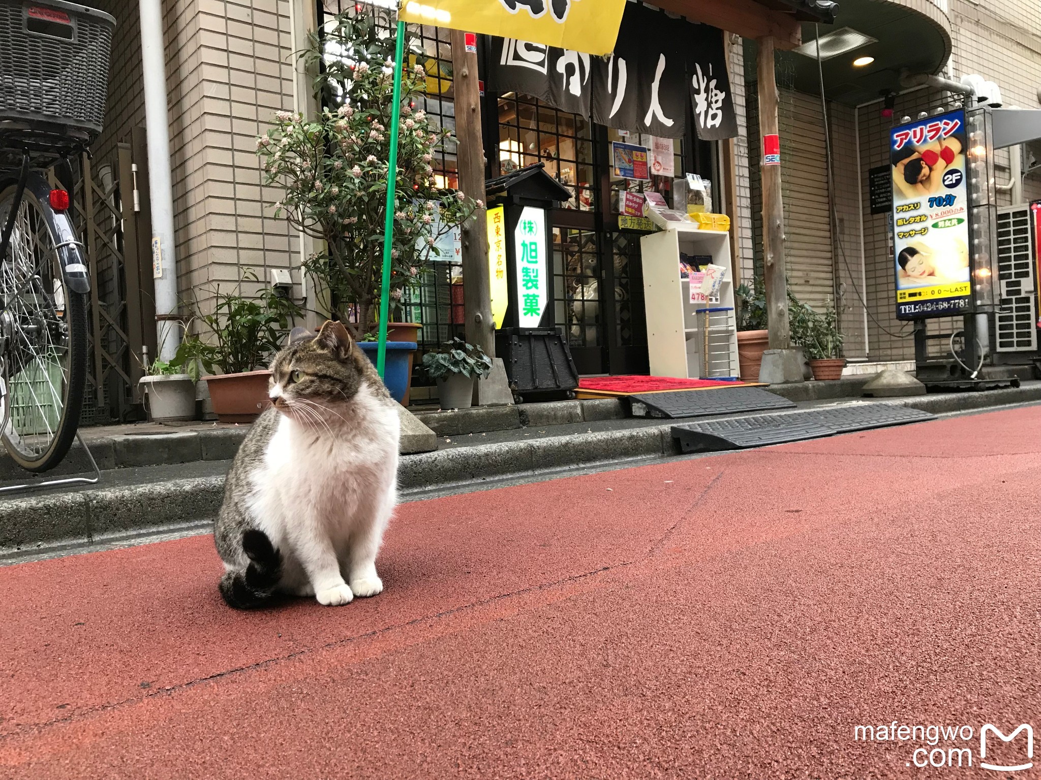 東京自助遊攻略