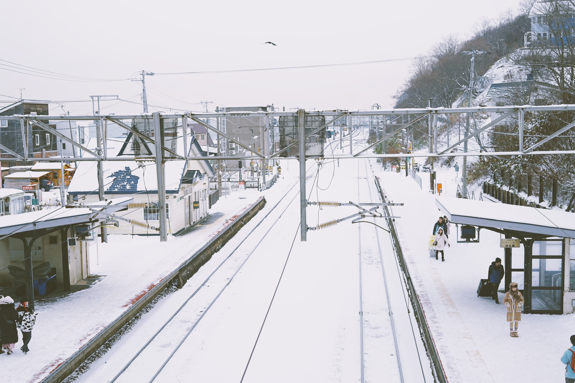 北海道自助遊攻略