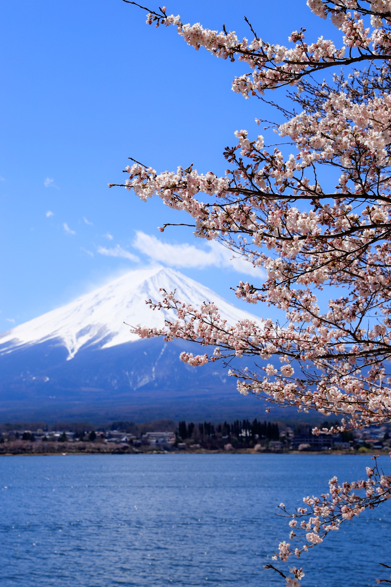 富士山自助遊攻略