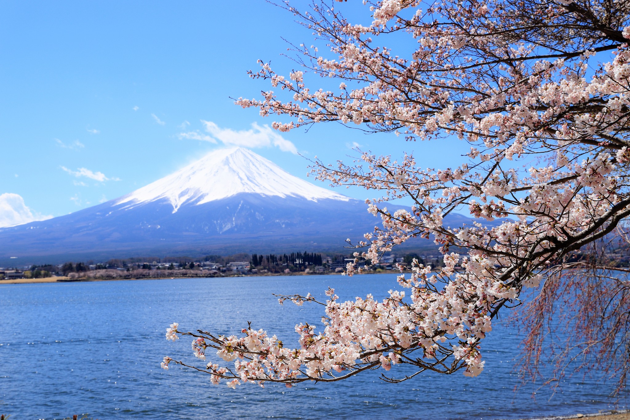 富士山自助遊攻略