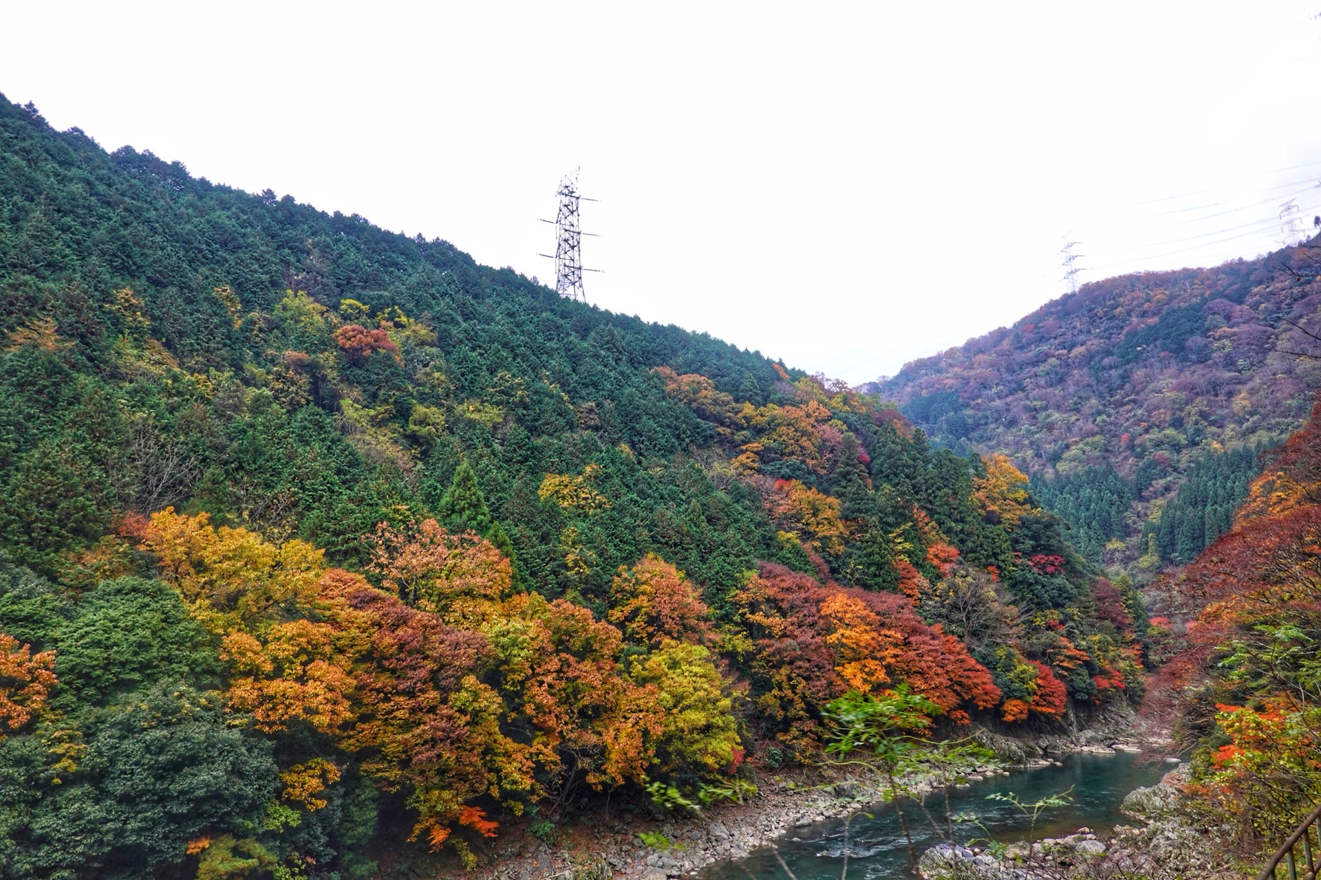 京都自助遊攻略