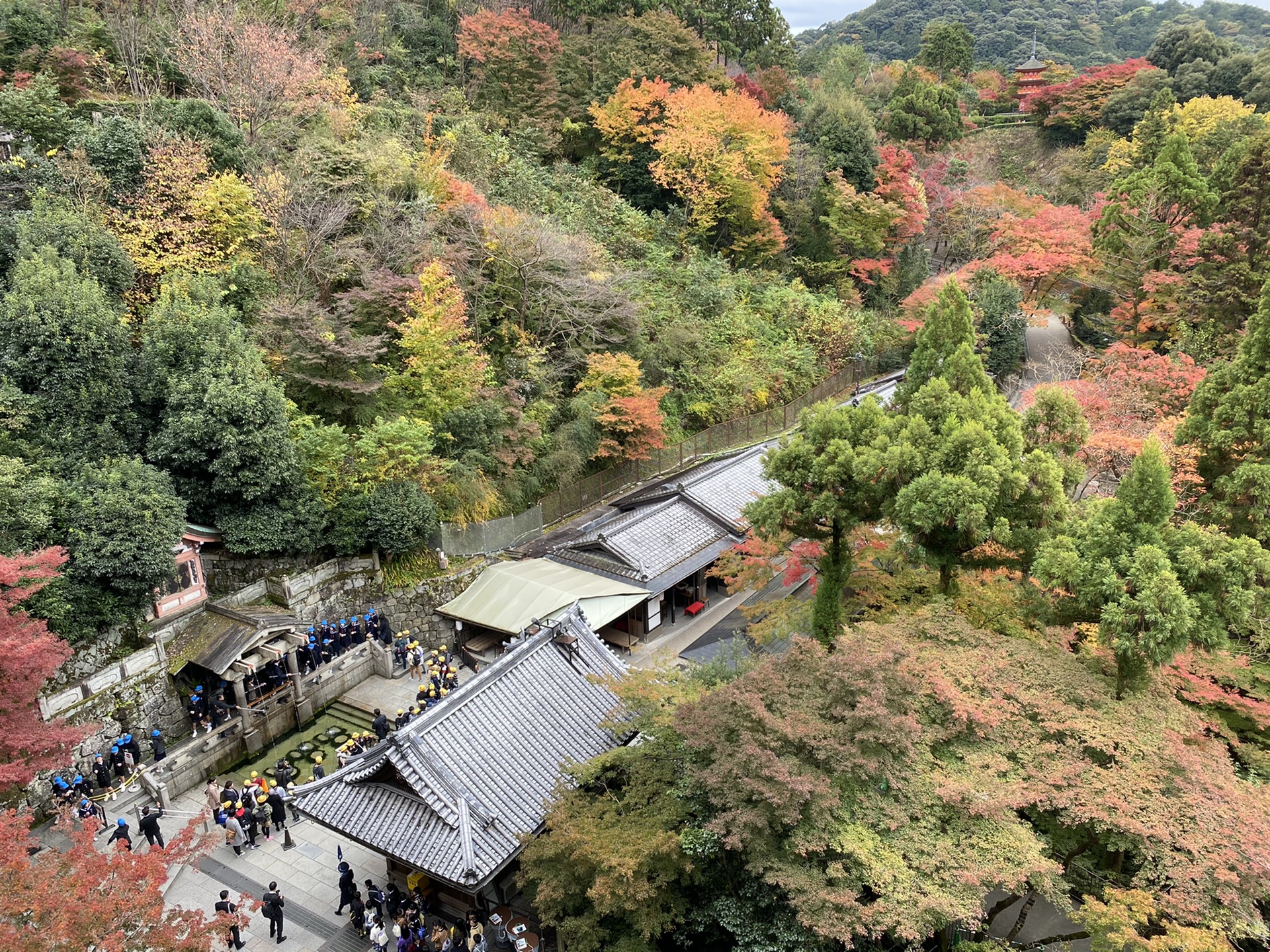 京都自助遊攻略