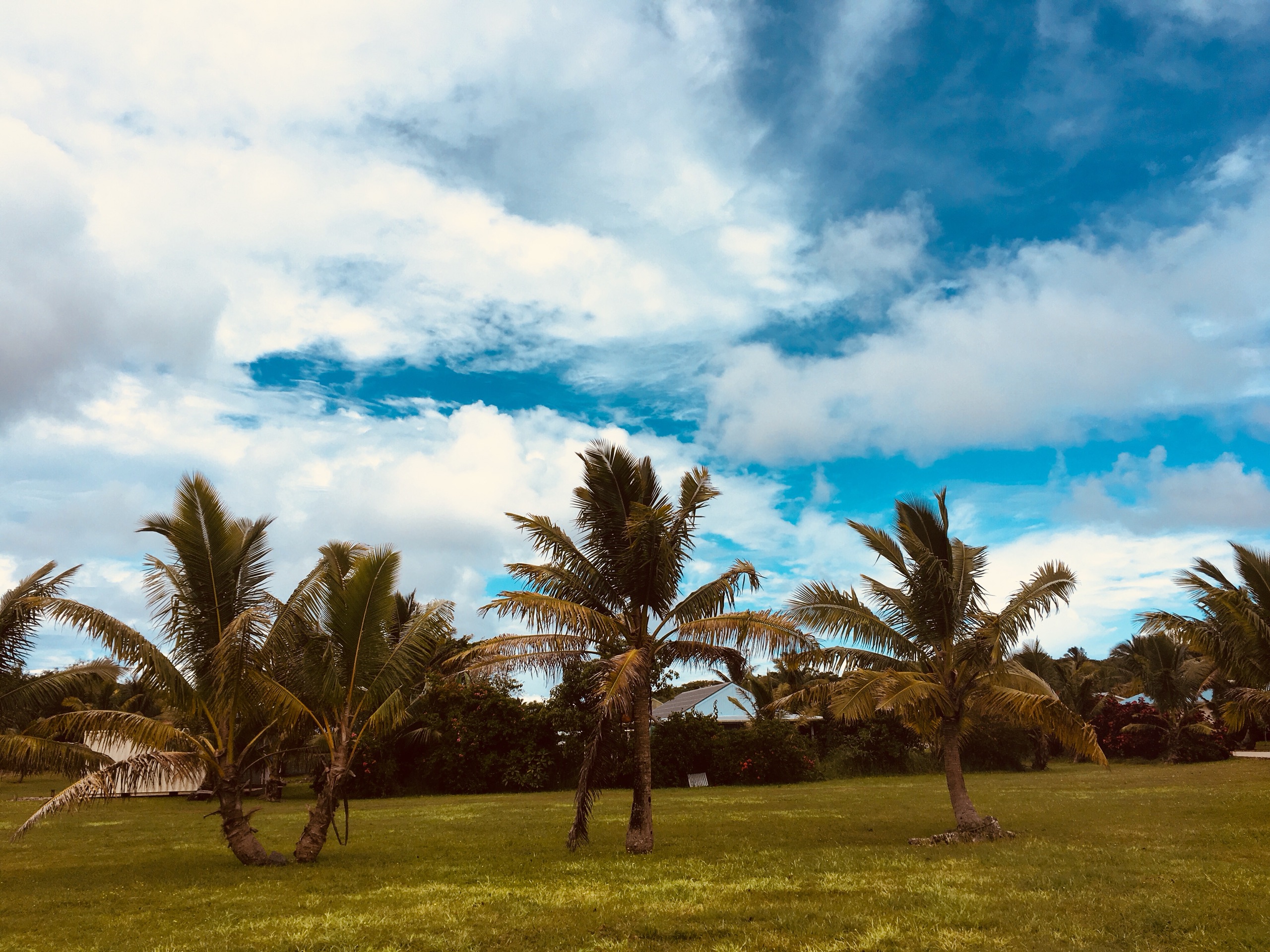 【纽埃景点图片】magical niue sea 