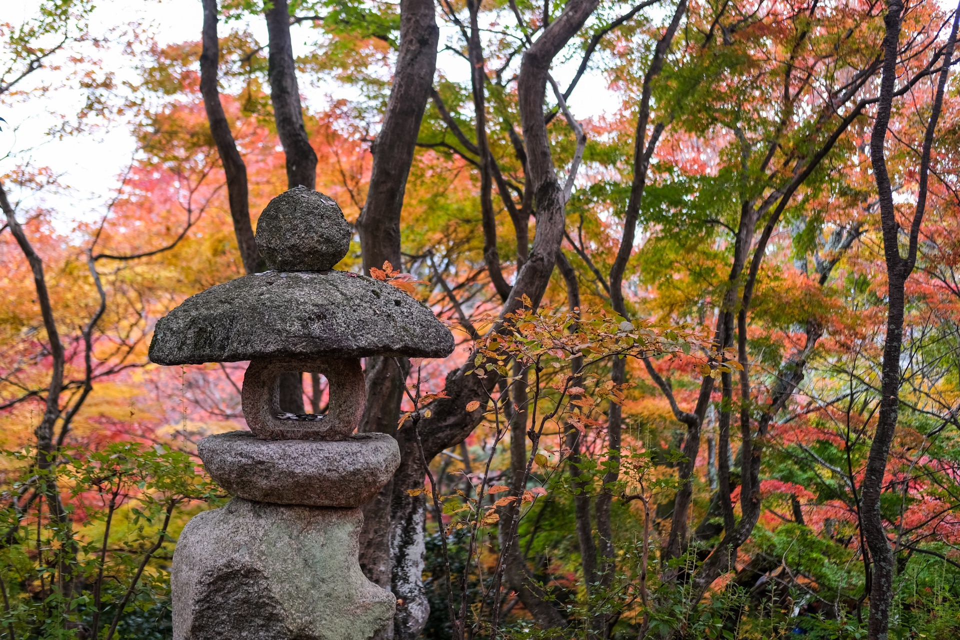 京都自助遊攻略