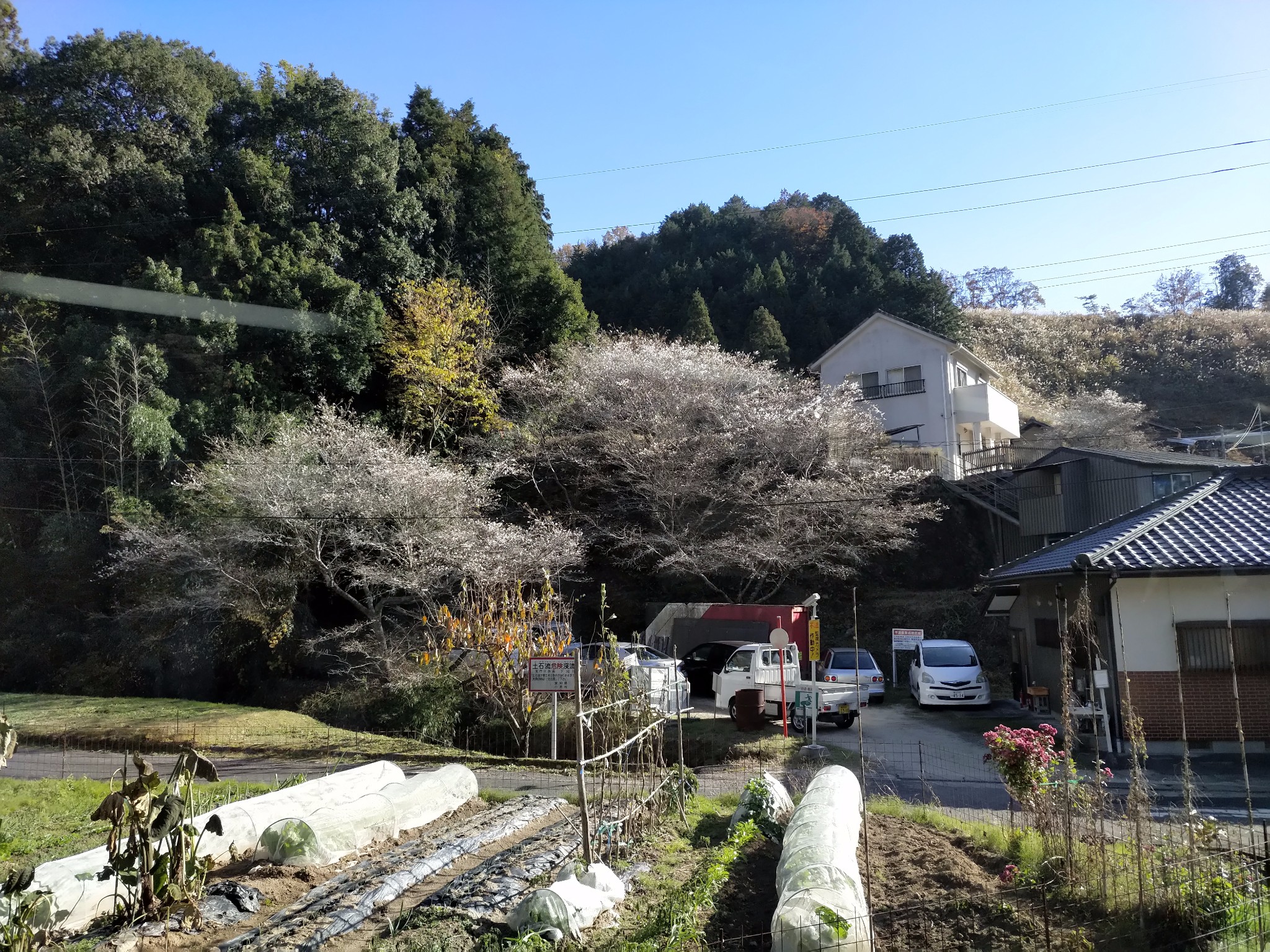 名古屋自助遊攻略