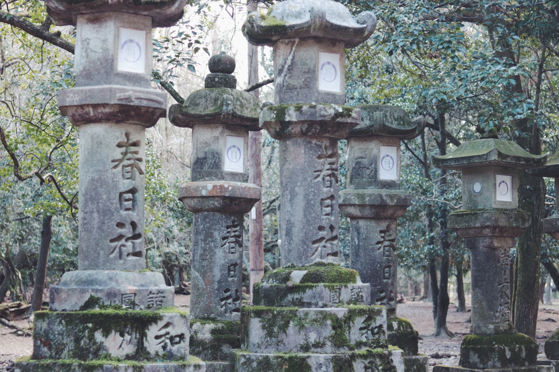 北海道自助遊攻略