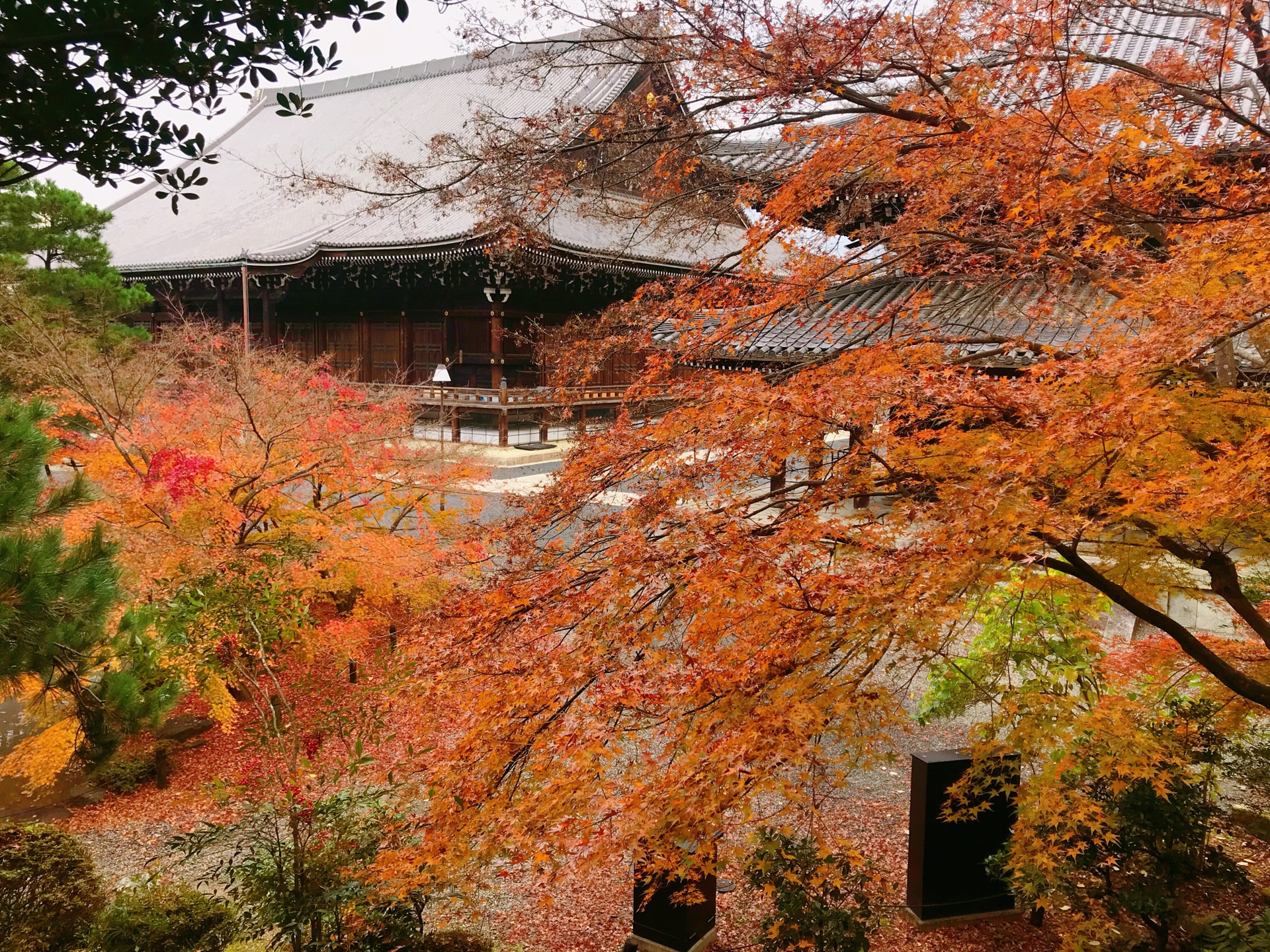 京都自助遊攻略