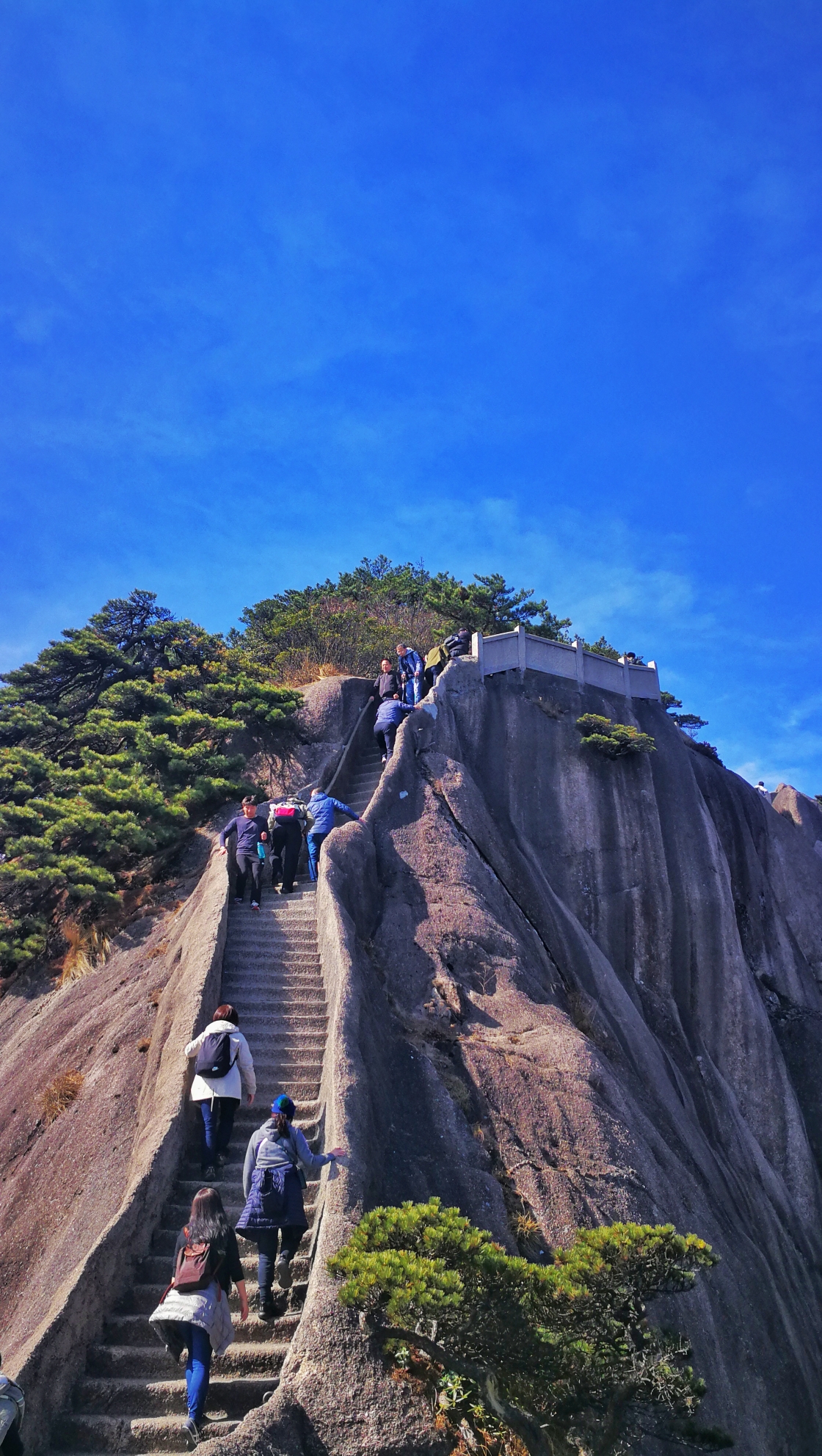 登黃山,天下無山,黃山旅遊攻略 - 馬蜂窩