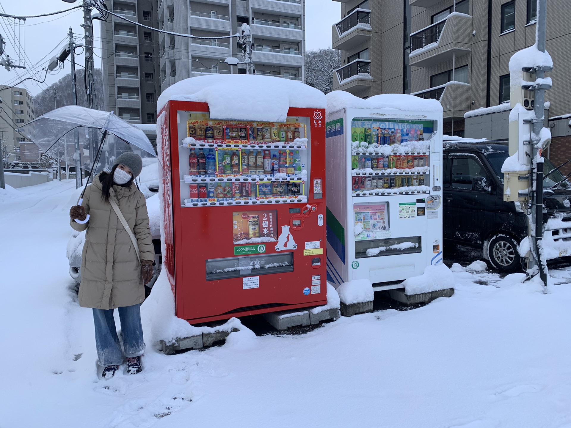 北海道自助遊攻略