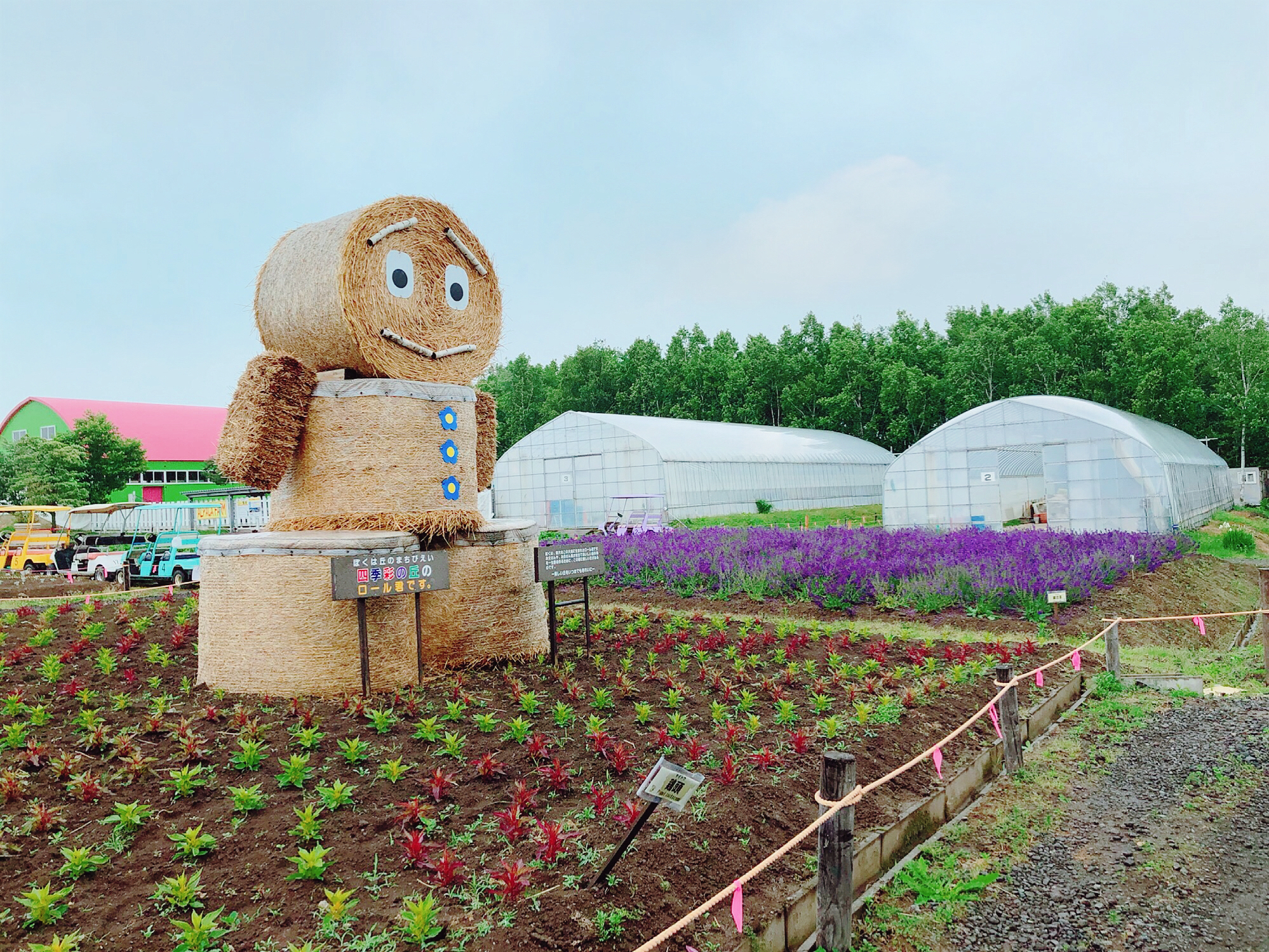 北海道自助遊攻略