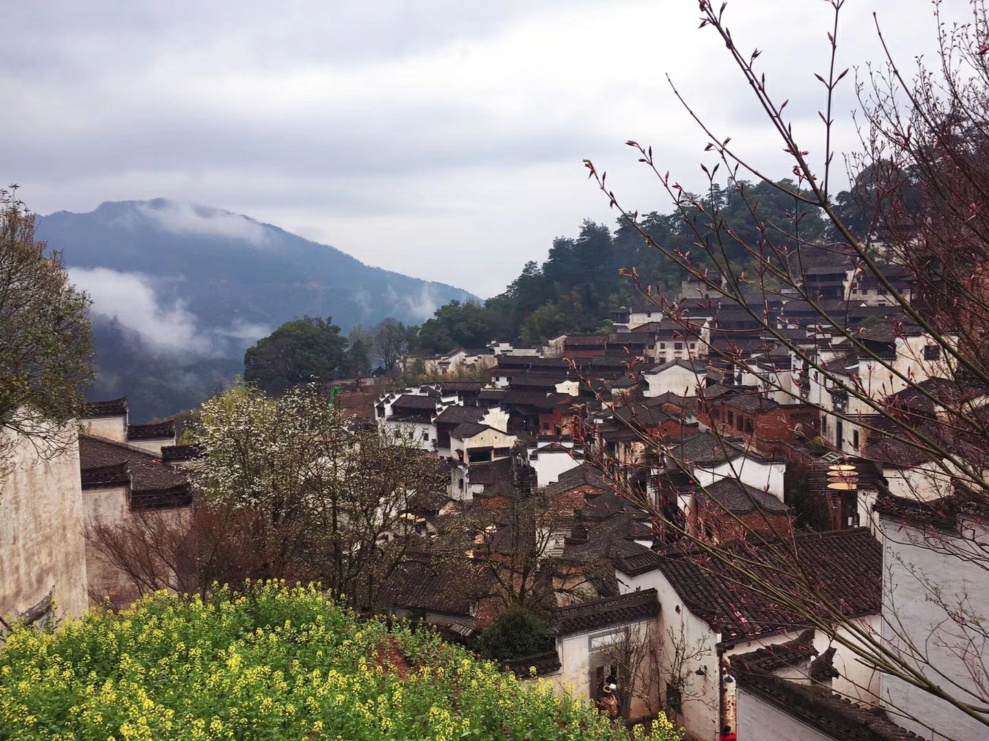 婺源花開 春景如畫