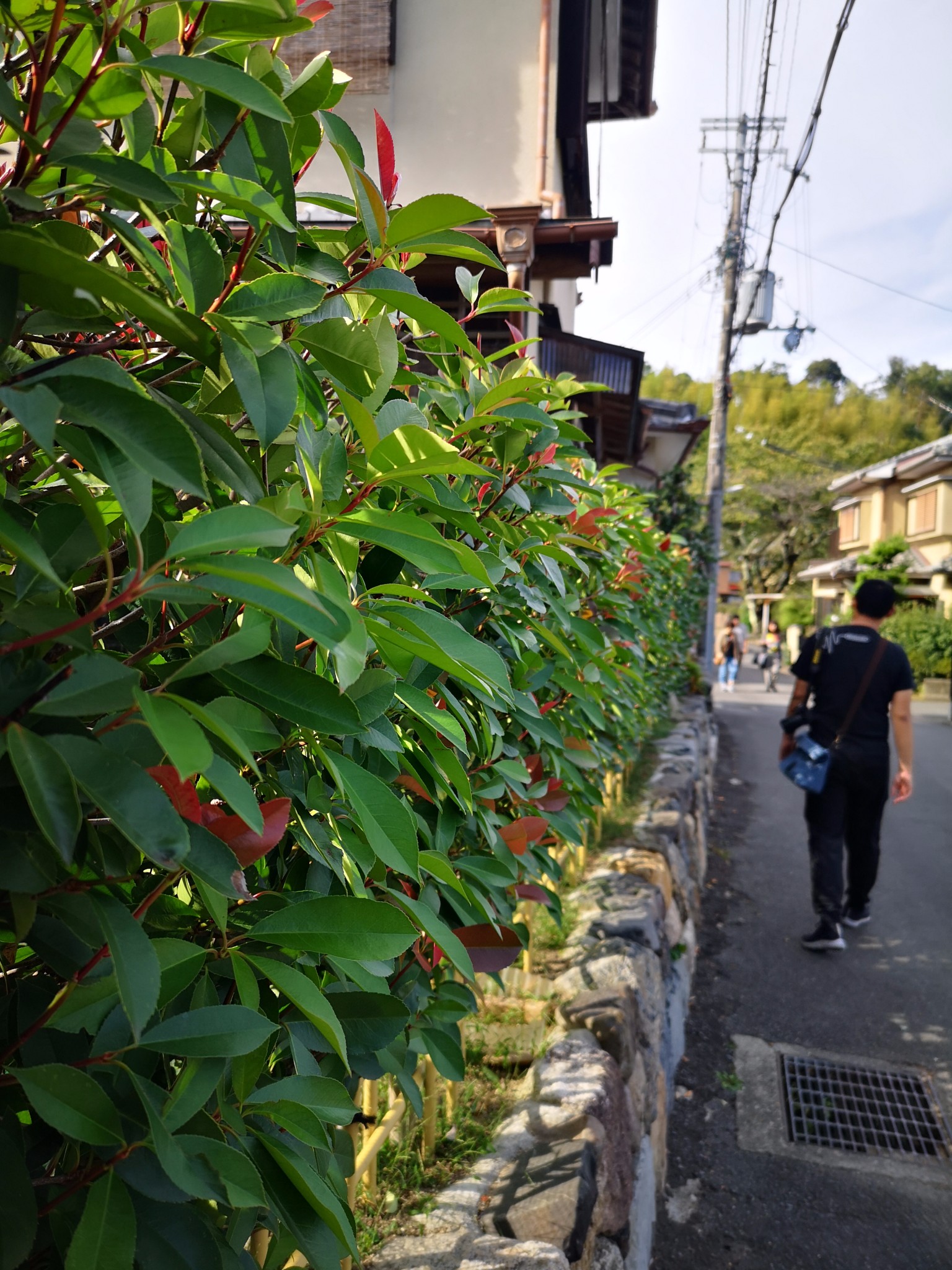 京都自助遊攻略