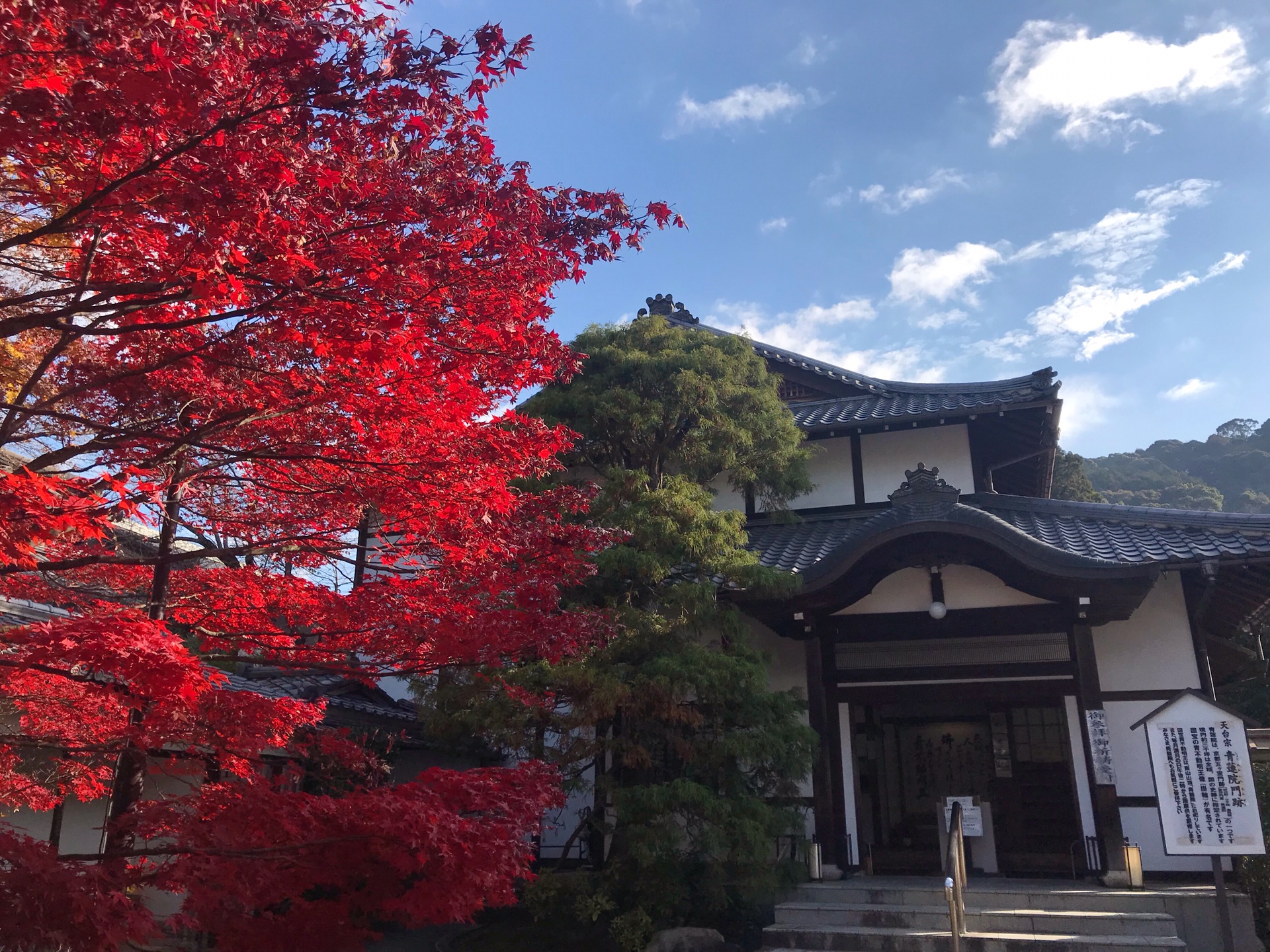 京都自助遊攻略