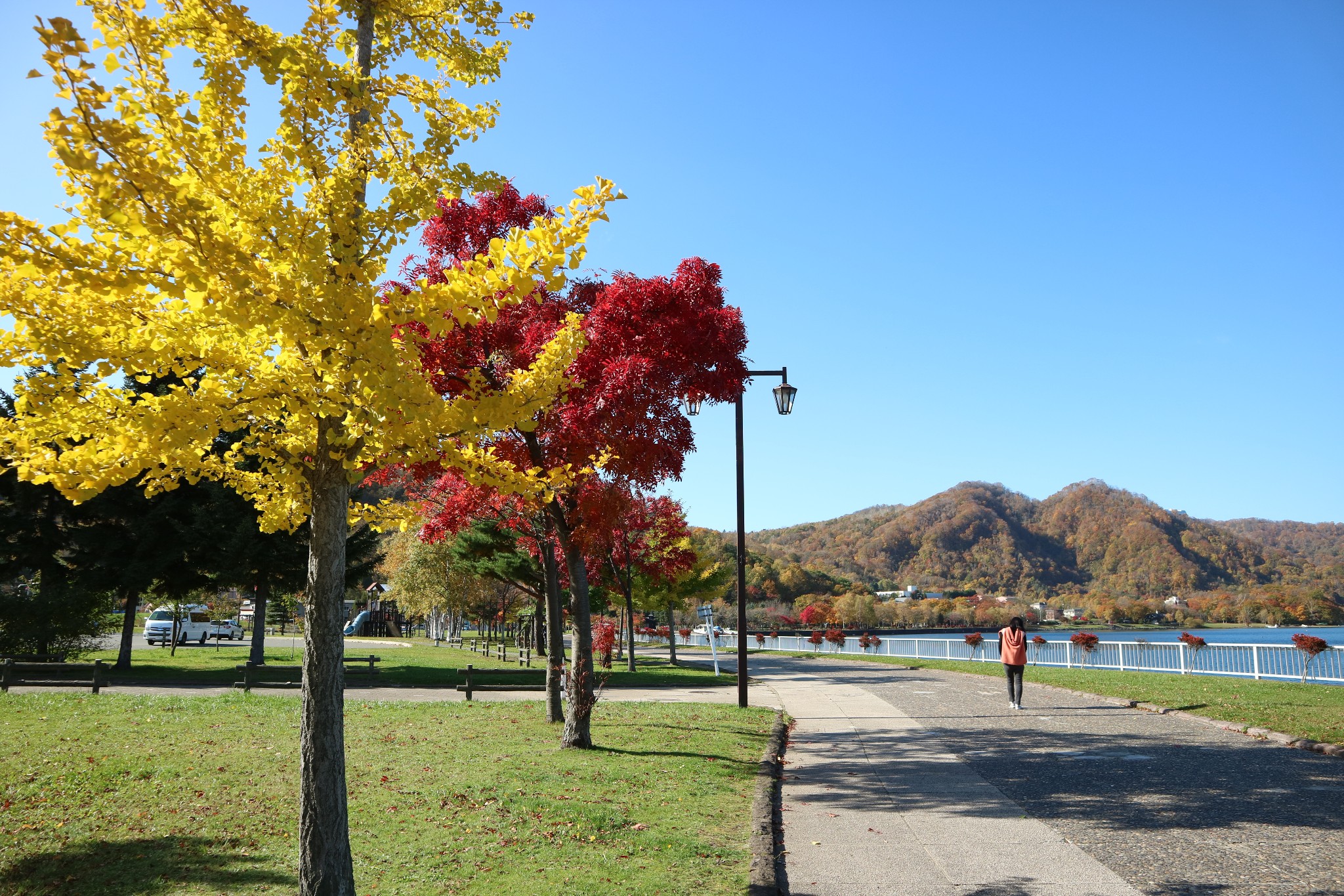 北海道自助遊攻略