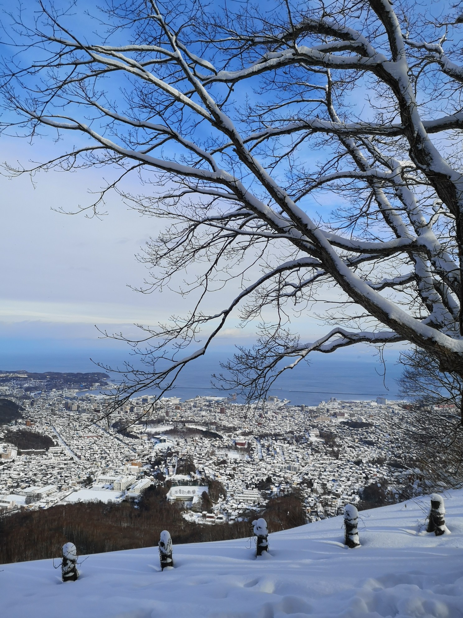 北海道自助遊攻略