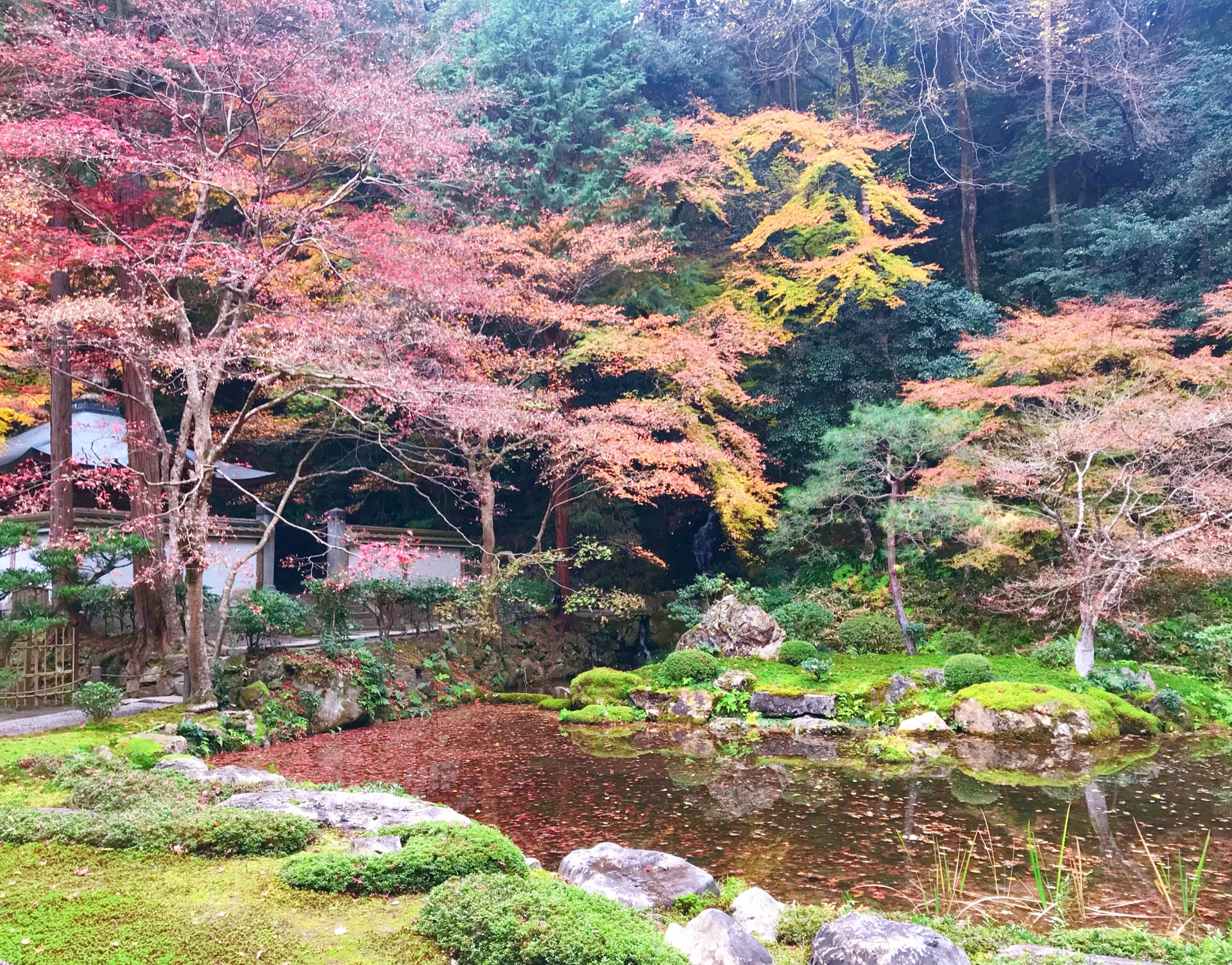 京都自助遊攻略