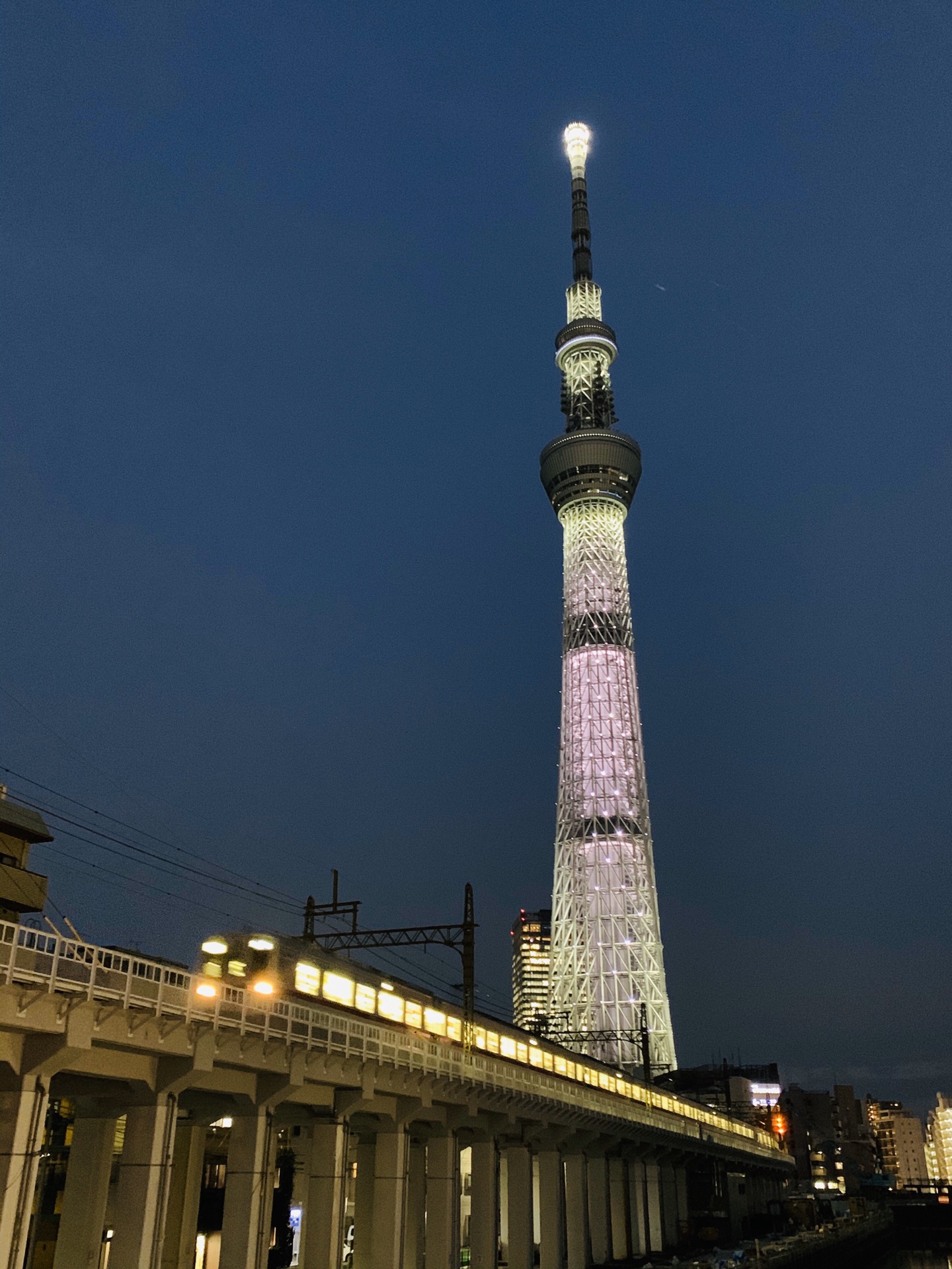 東京自助遊攻略