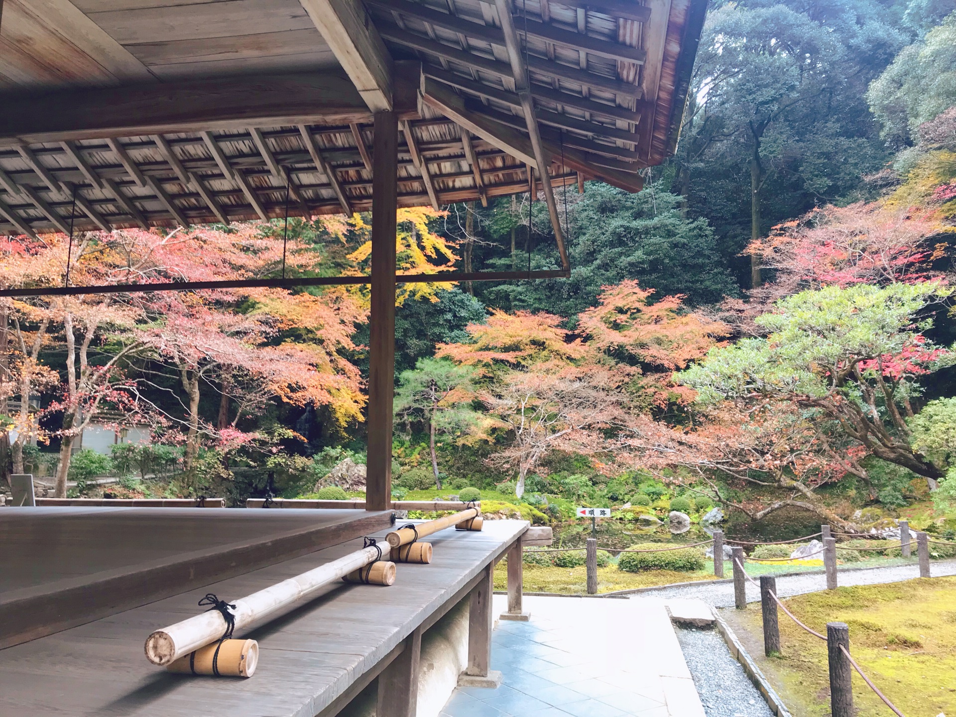 京都自助遊攻略