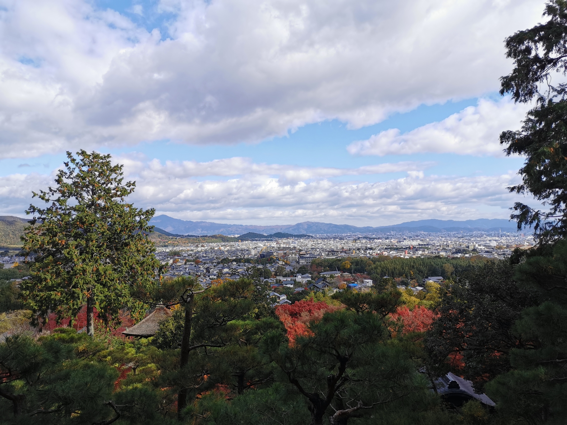 京都自助遊攻略