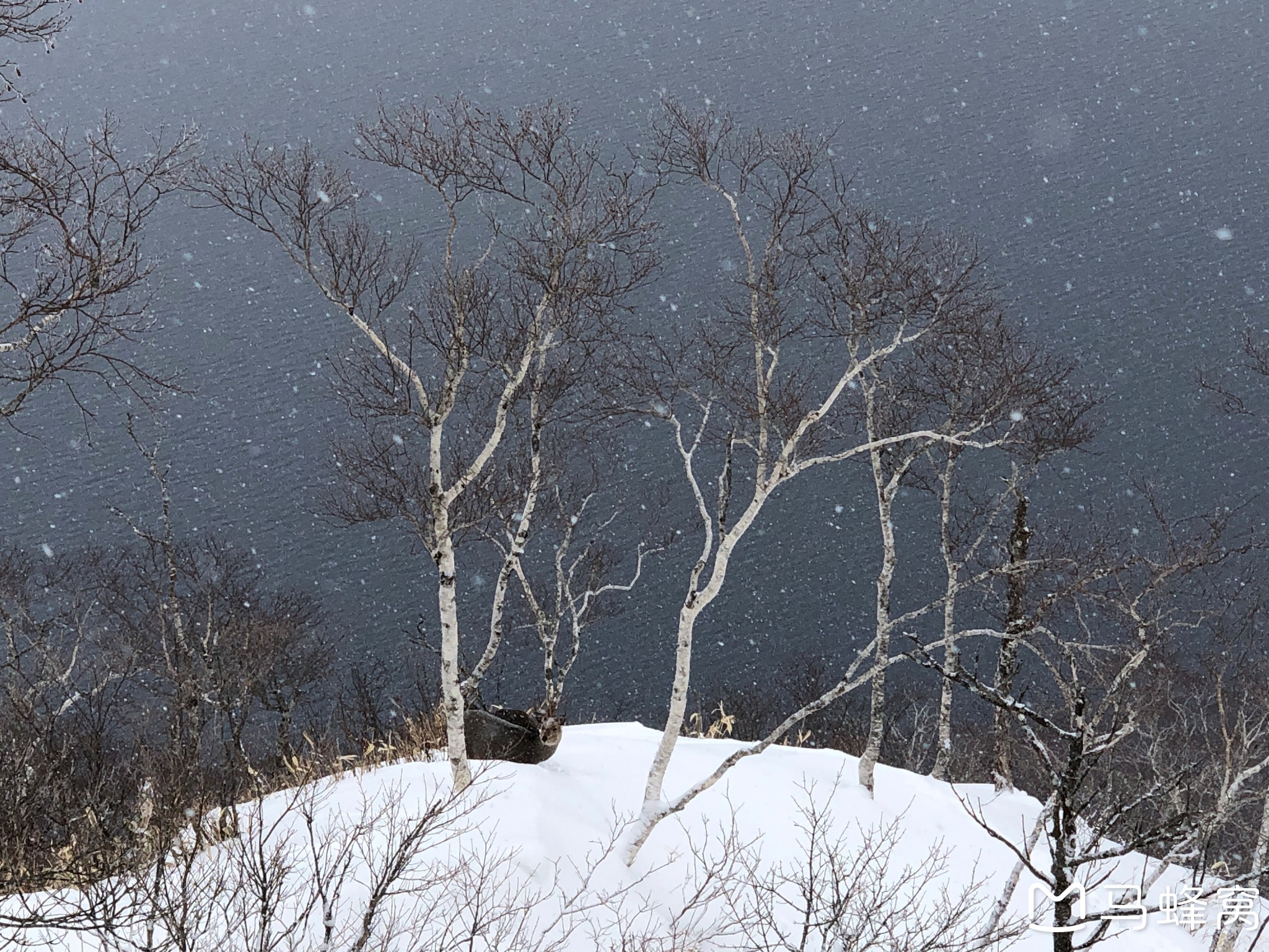 北海道自助遊攻略