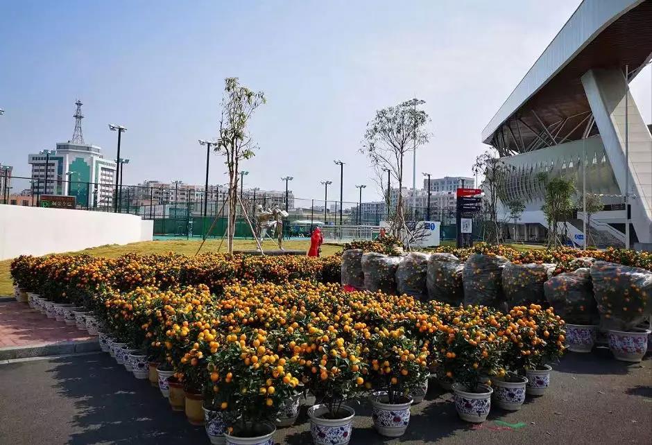 春节小长假怎么玩 逛花市 迎新春 趣游肇庆春节攻略 手机马蜂窝