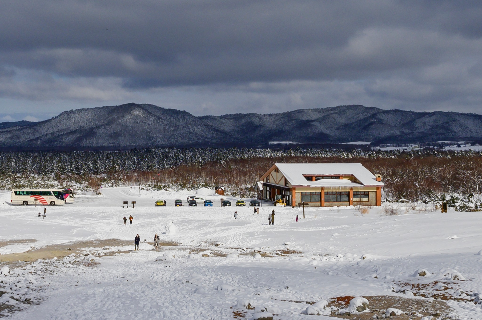 北海道自助遊攻略