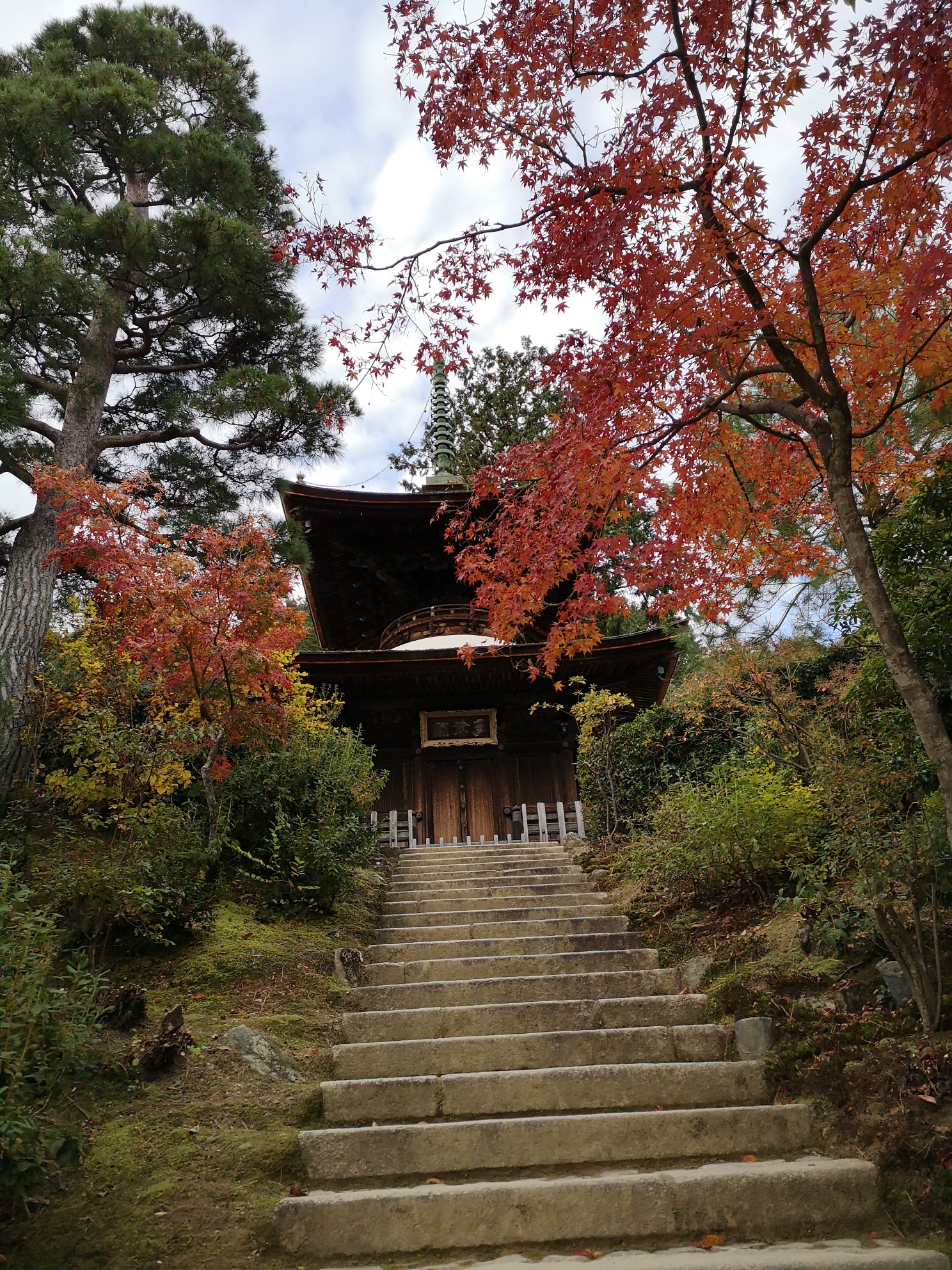 京都自助遊攻略