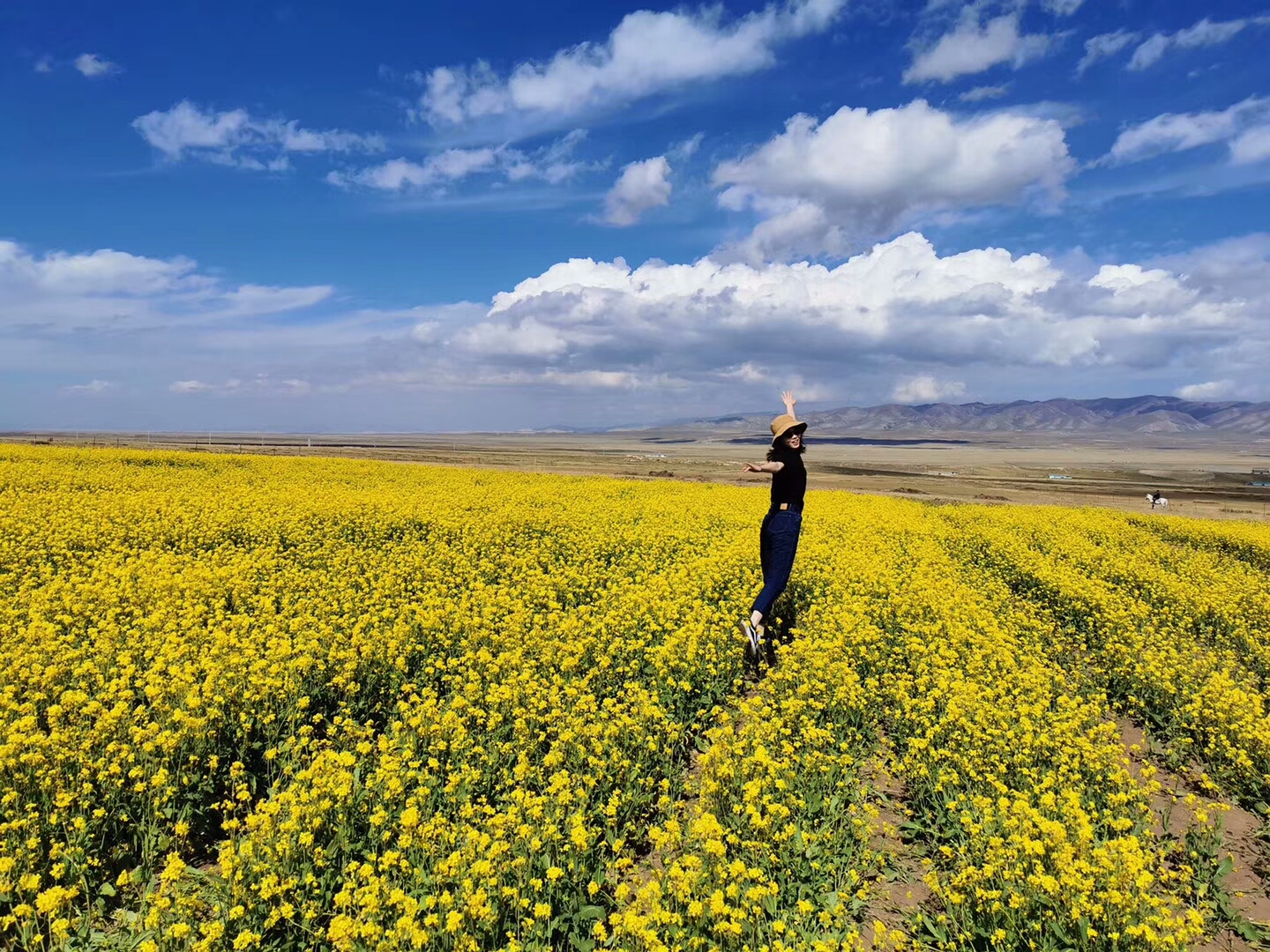 6月中旬去门源能看到油菜花吗 马蜂窝