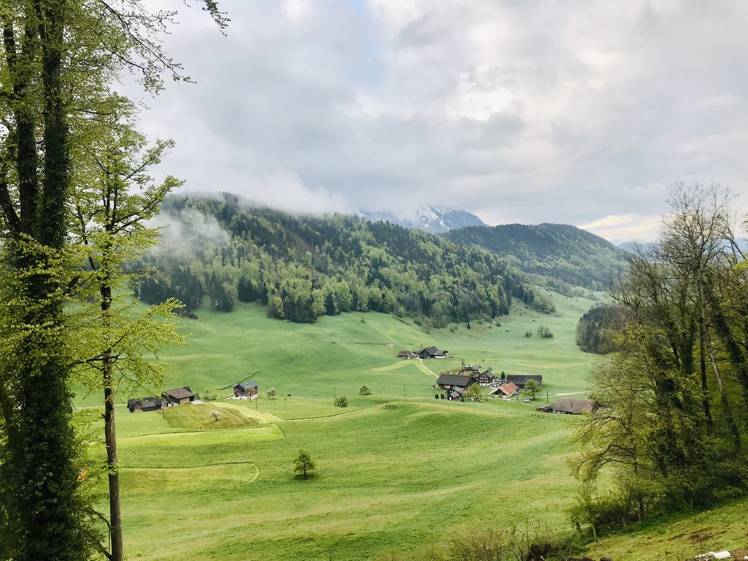 下瓦尔登州美食-Restaurant Verbena