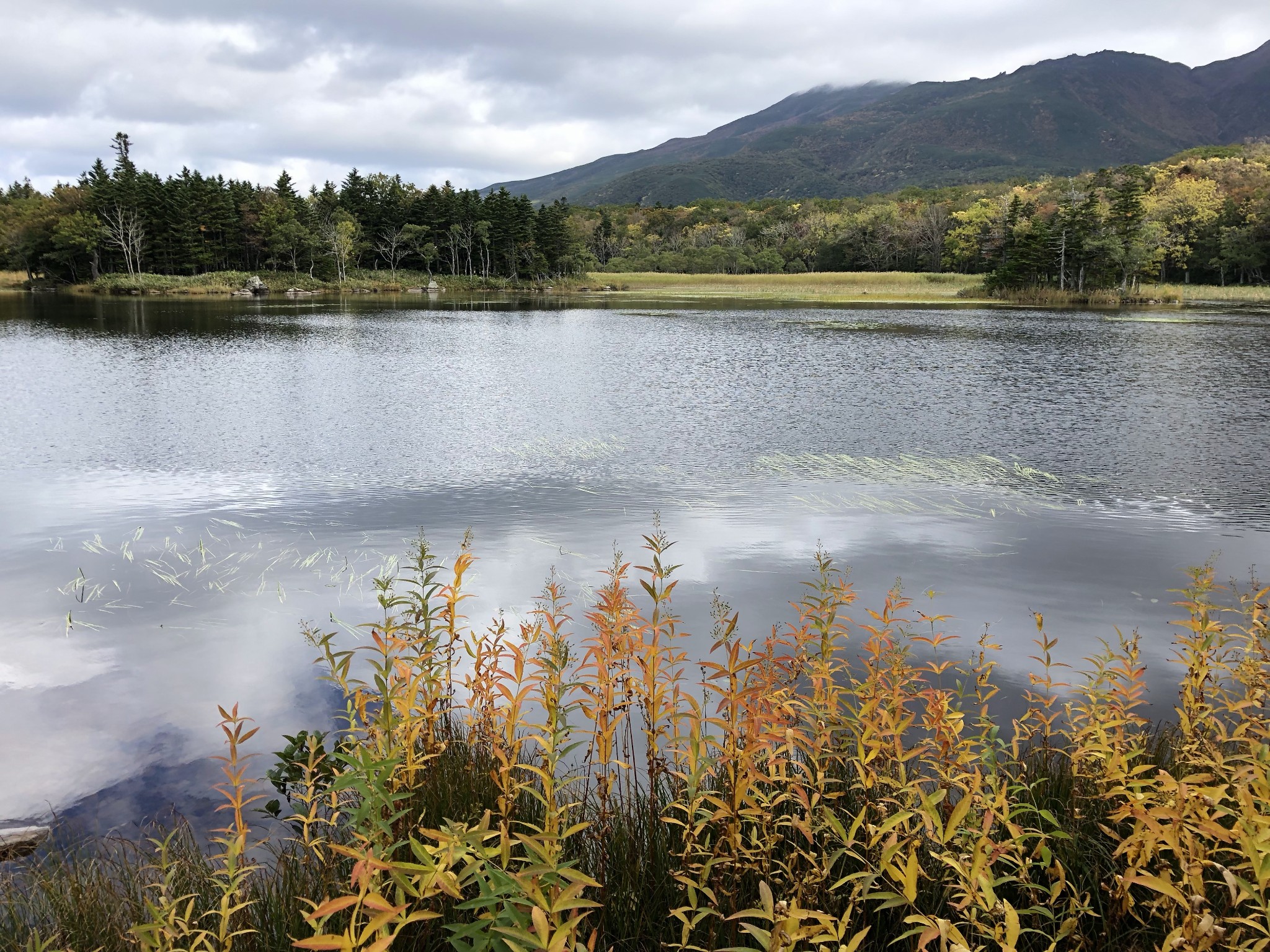 北海道自助遊攻略