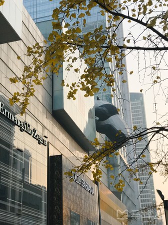 prada(ifs店)旅游图片,prada(ifs店)自助游图片,prada(ifs店)旅游景点