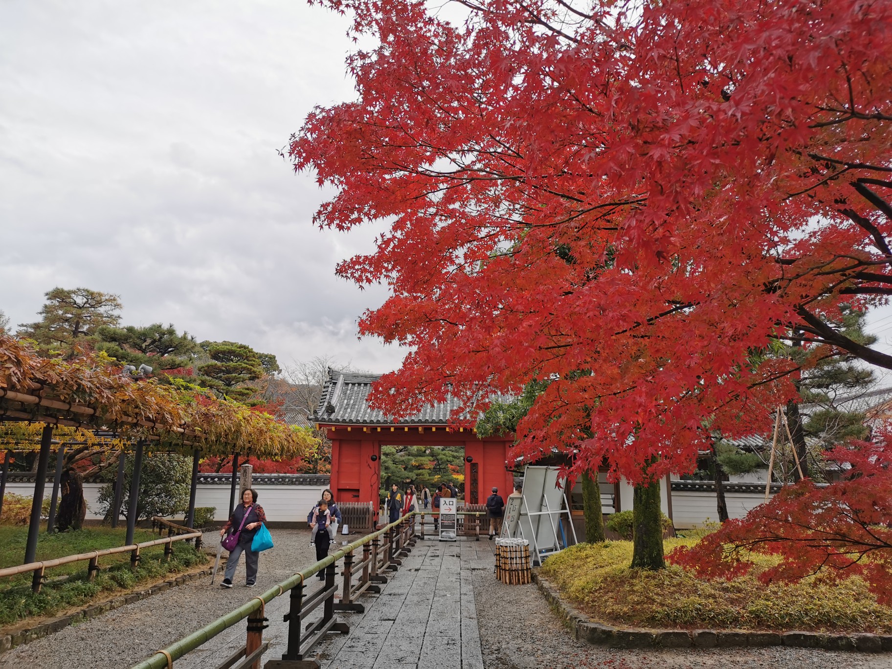 京都自助遊攻略