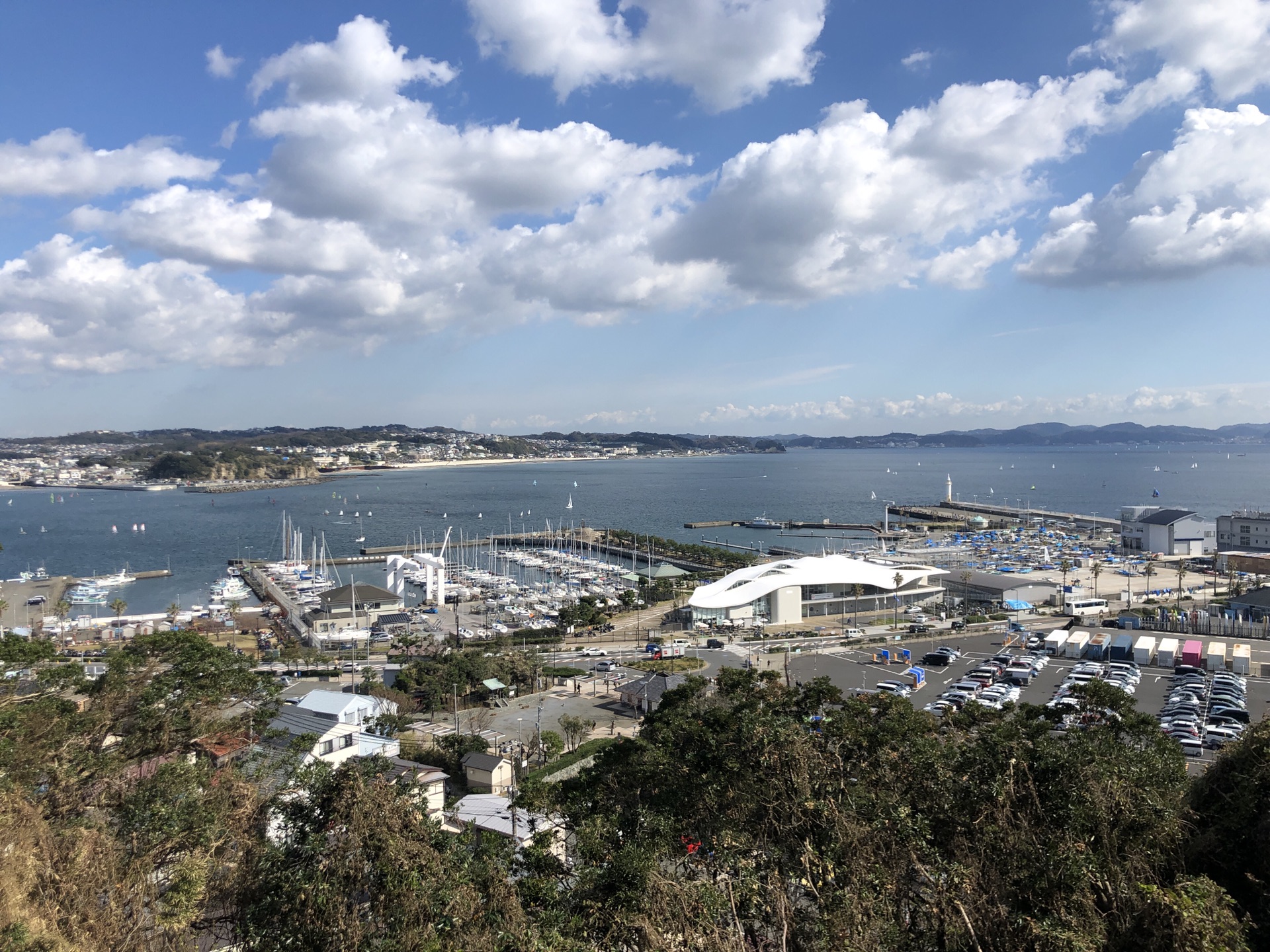 東京自助遊攻略