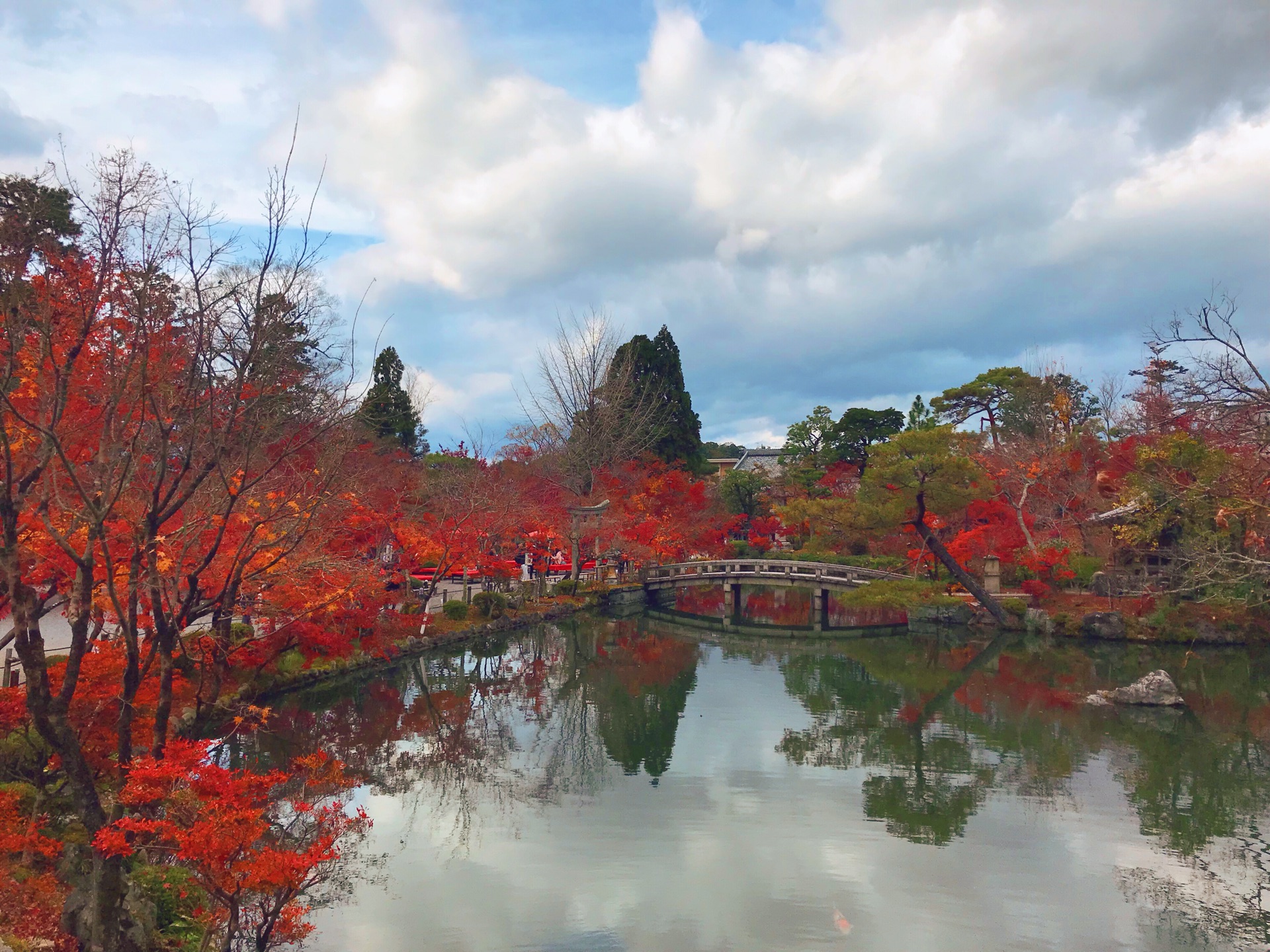 京都自助遊攻略