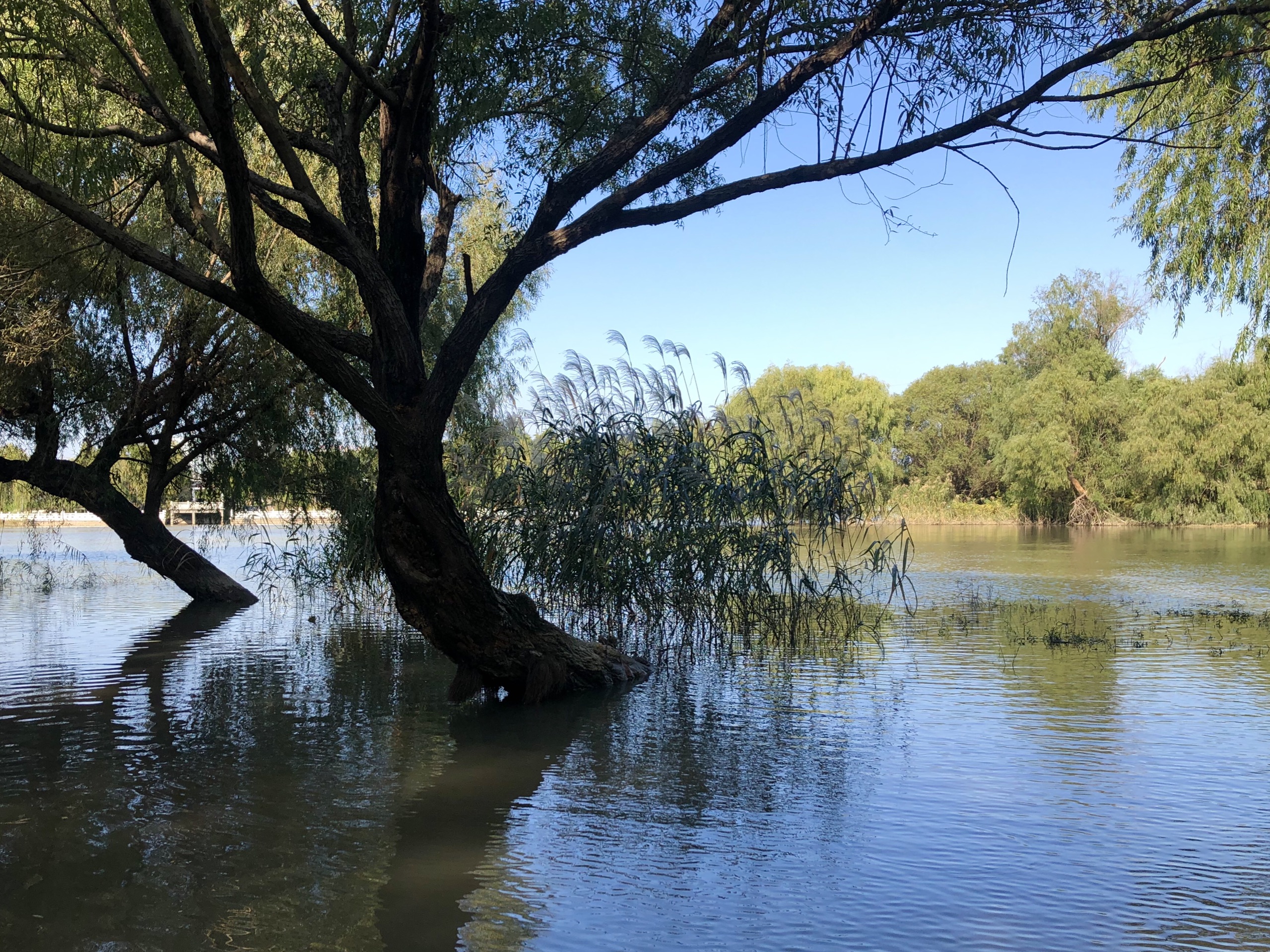 引江水利枢纽工程风景区