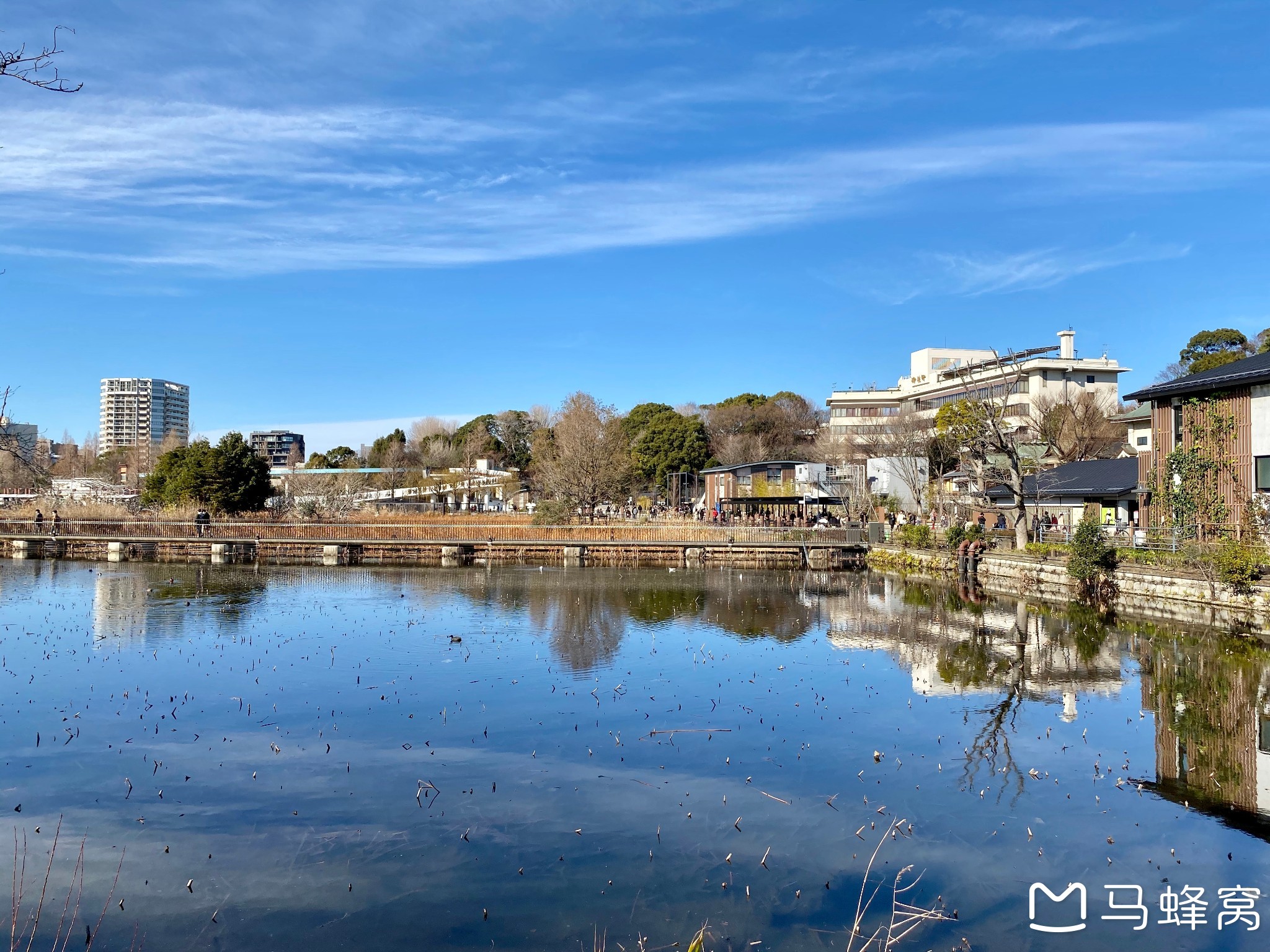 東京自助遊攻略