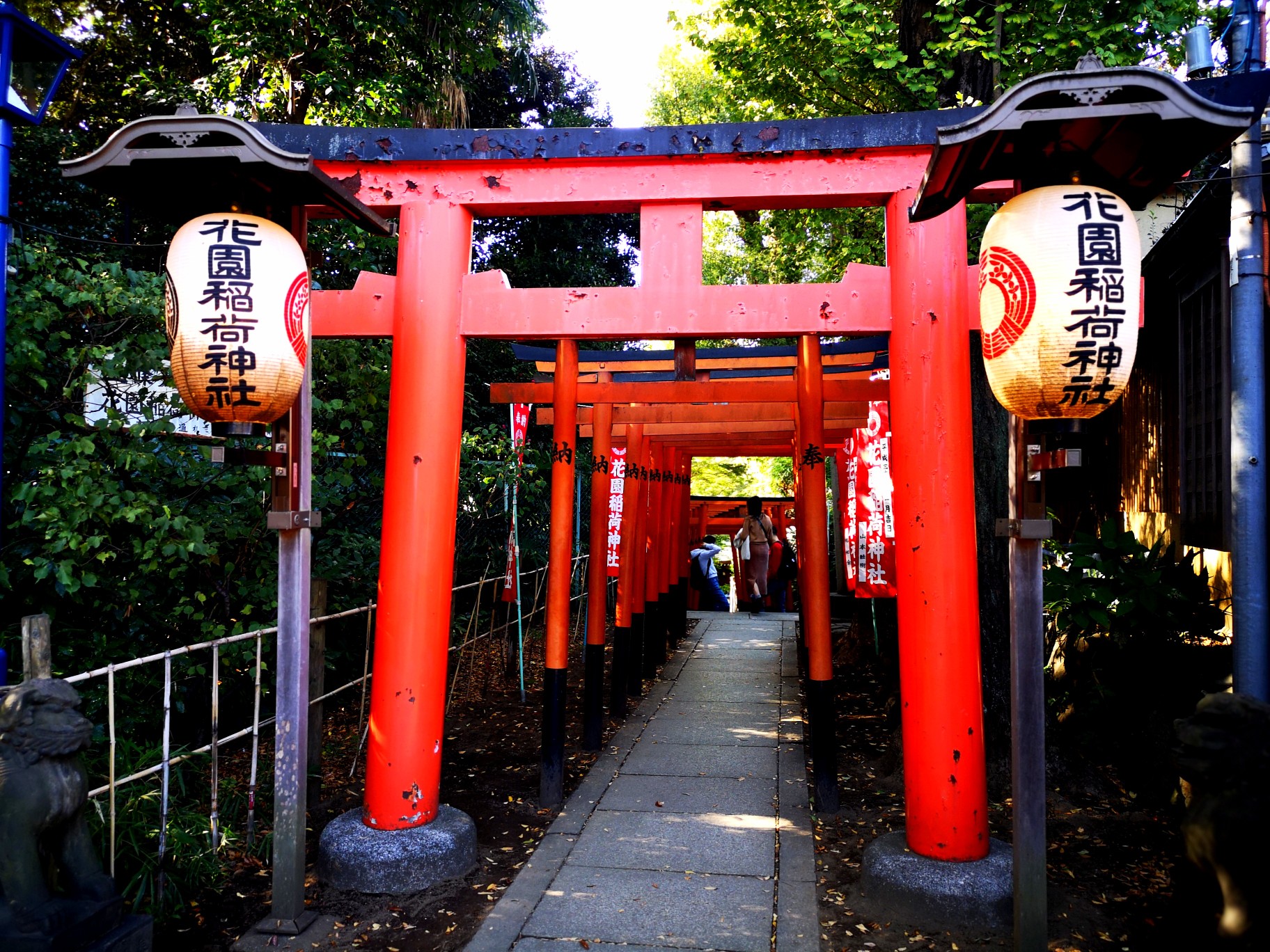 東京自助遊攻略